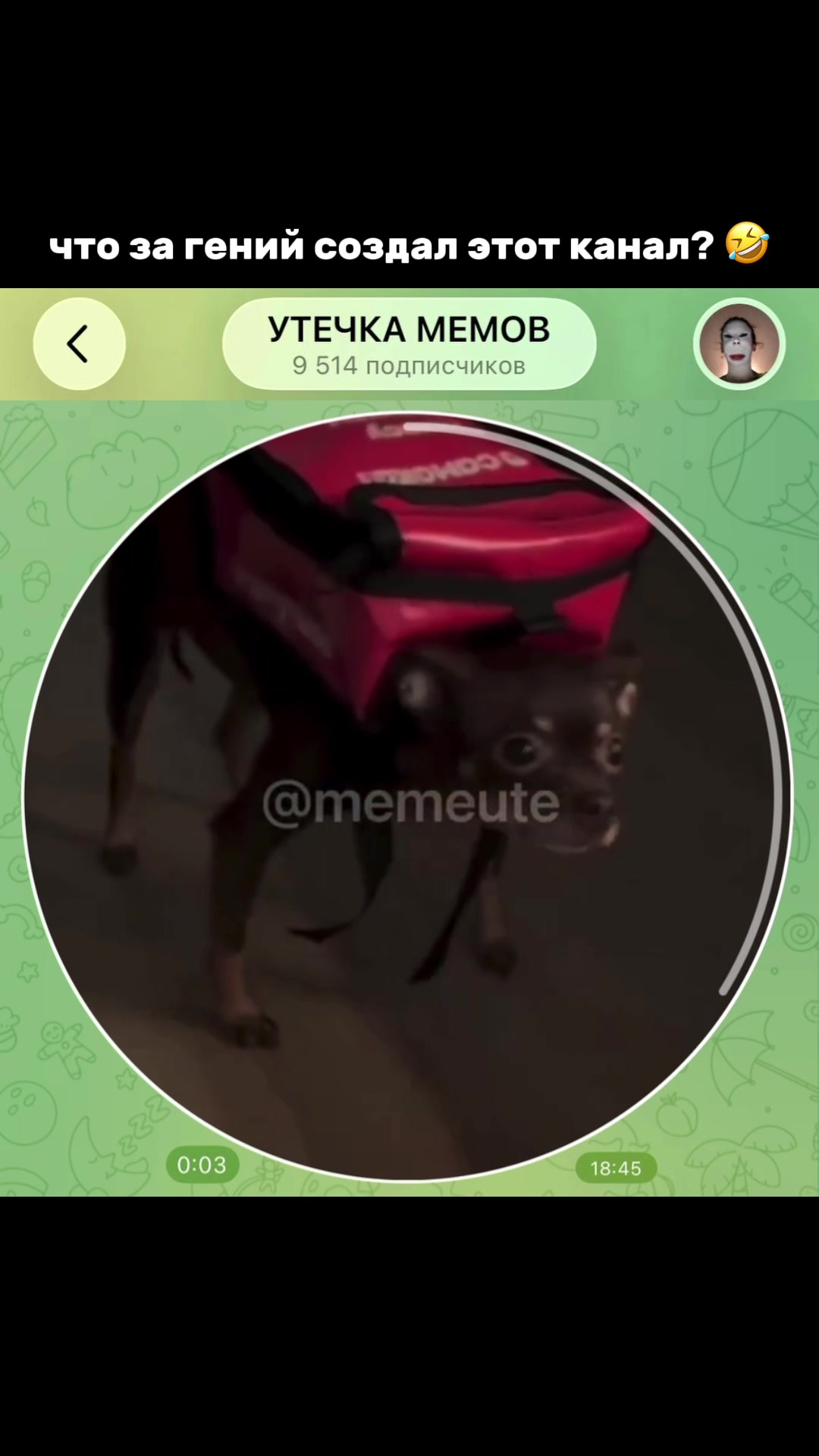 @тгк: memeute