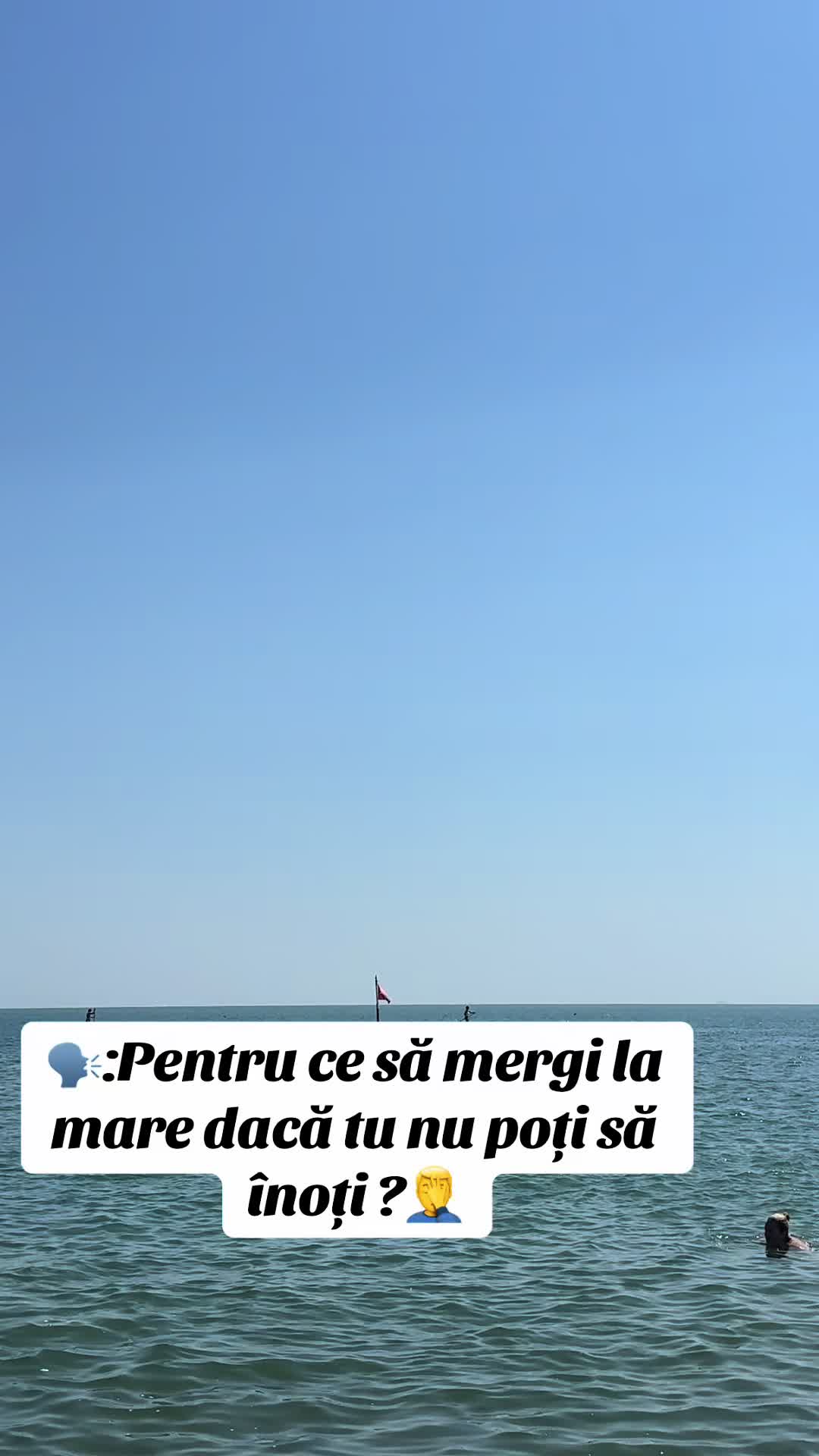 @Alina Sajin