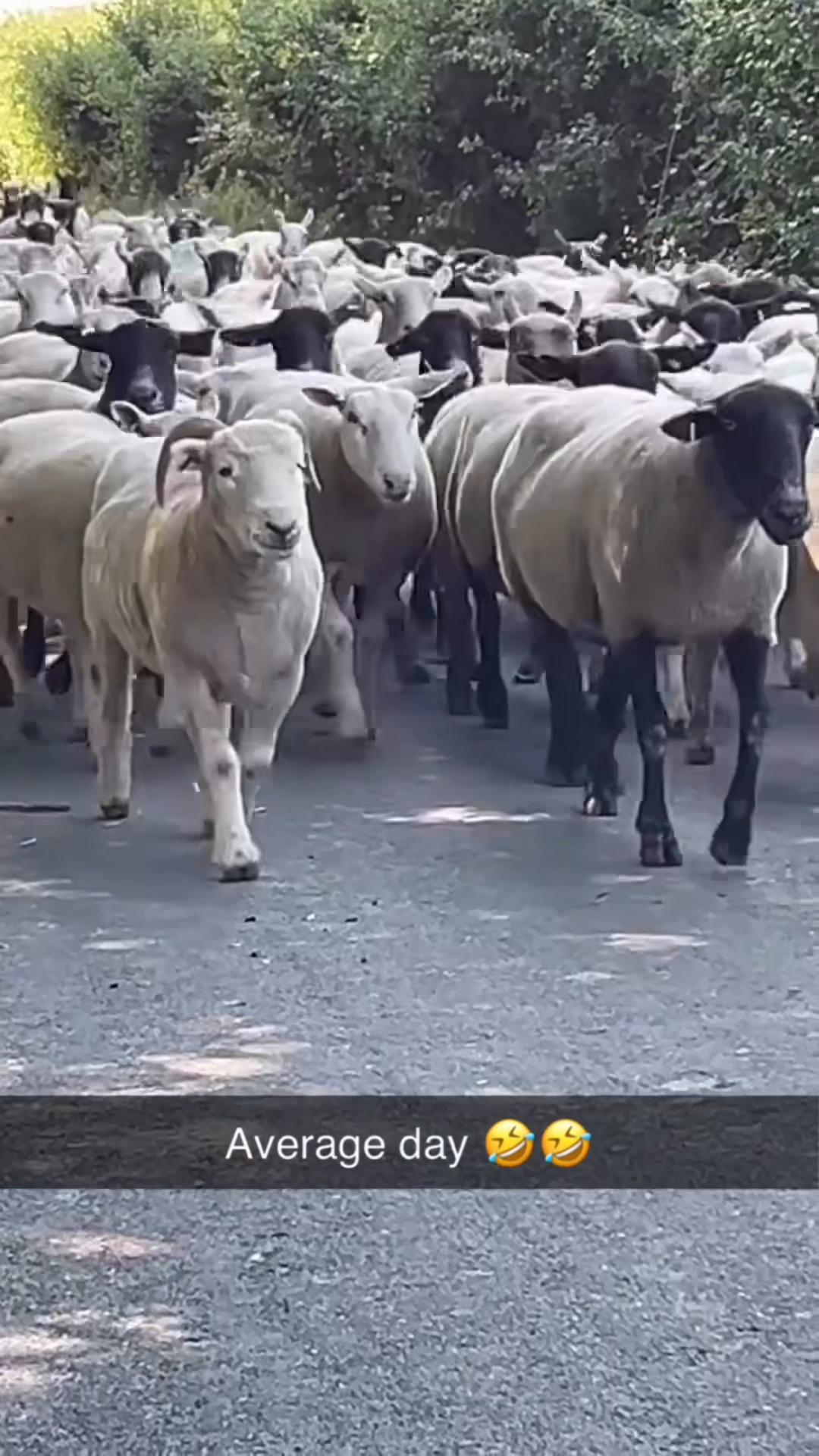 @The_Cooper_Family