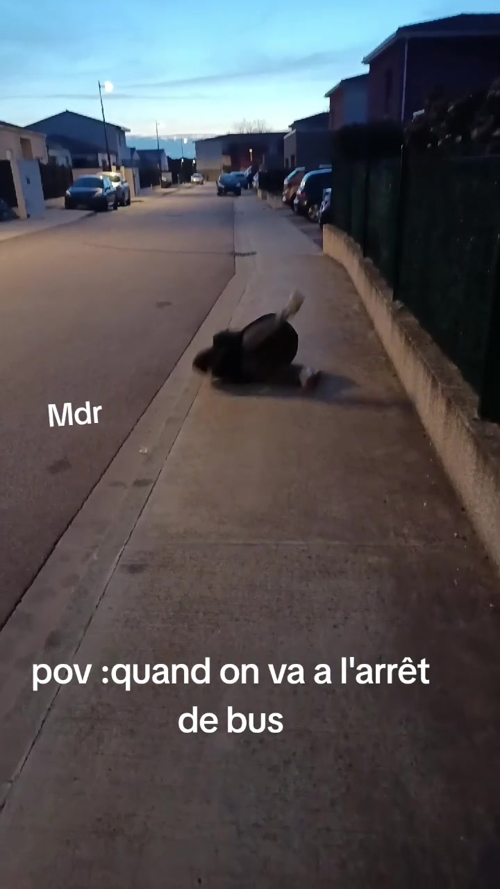 @les folles du bus