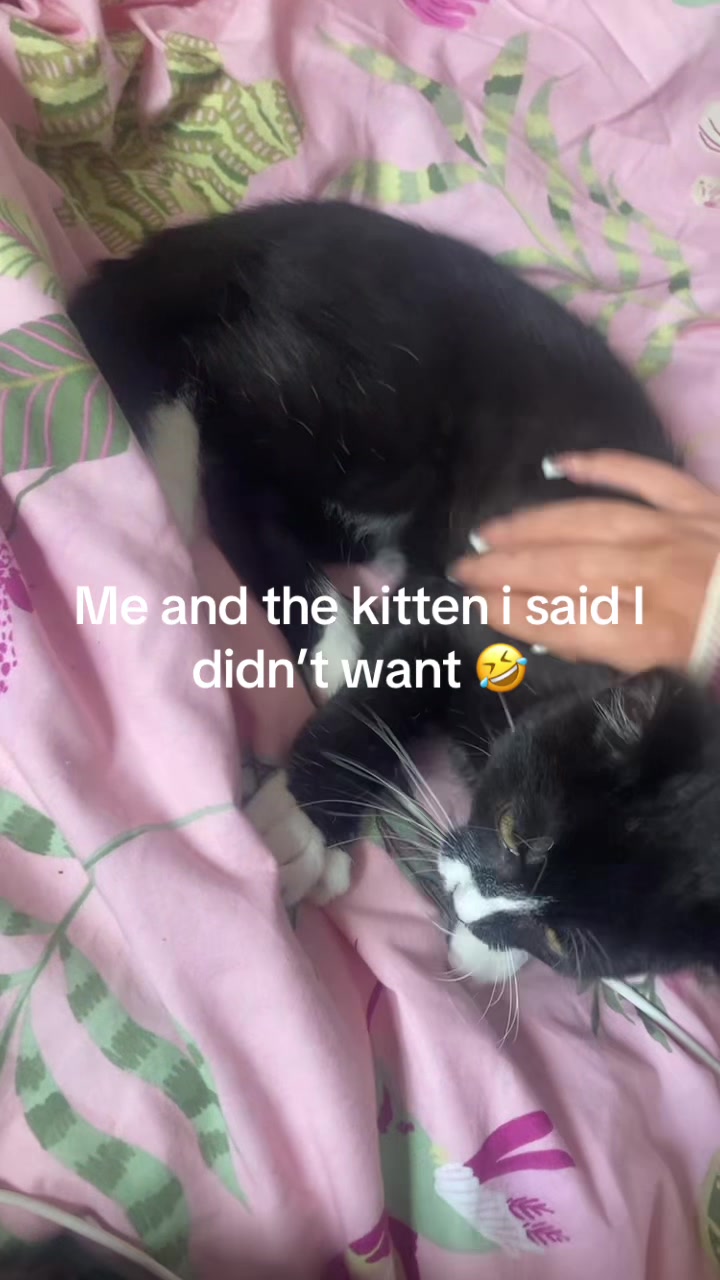 @Blackhairedblueyes
