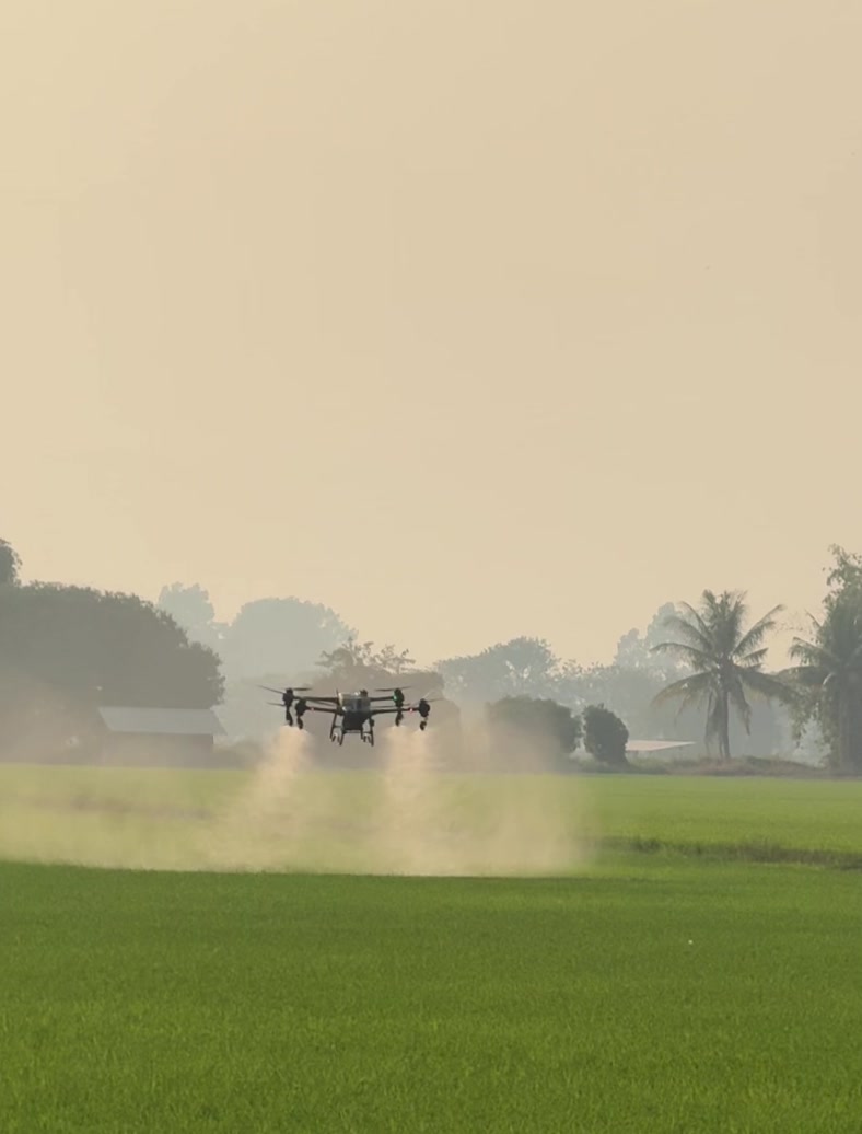 @Aun Nongkrod