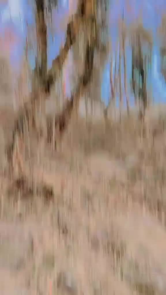@No | Name