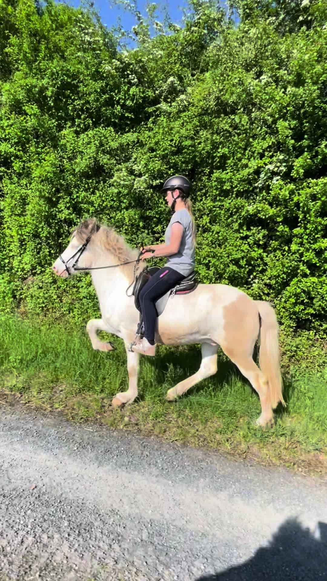 @Albingerhof
