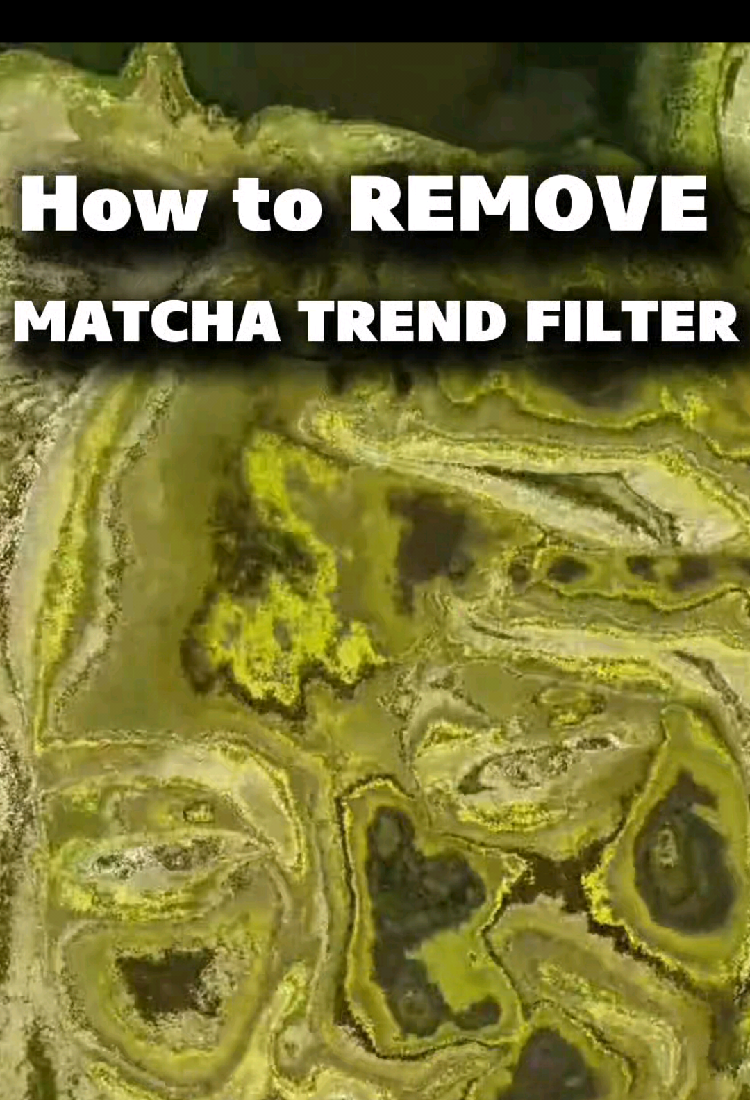@Tiktok Tako