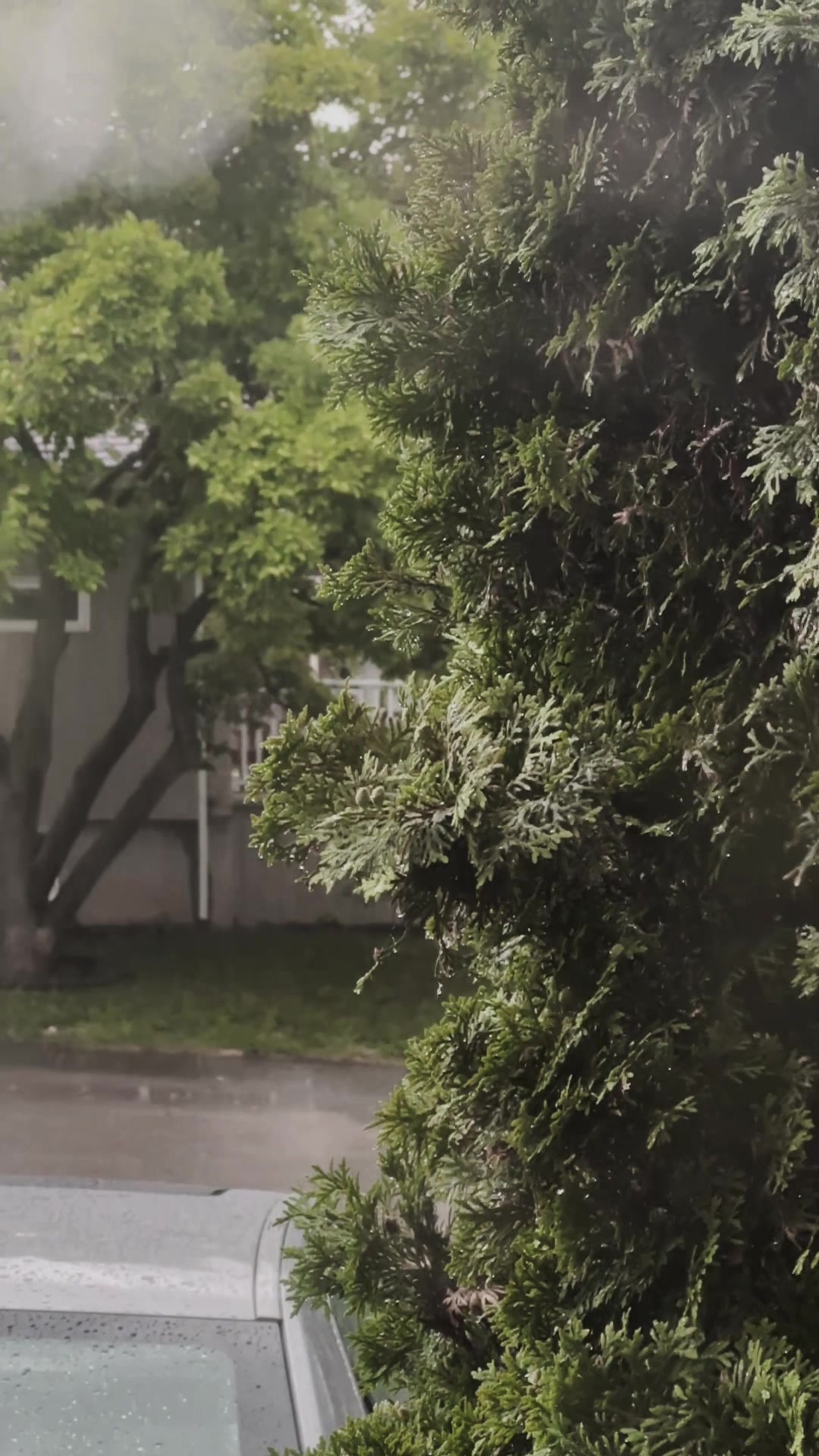 @NyL🏳️🌈Ariesh🇵🇭🇨🇦