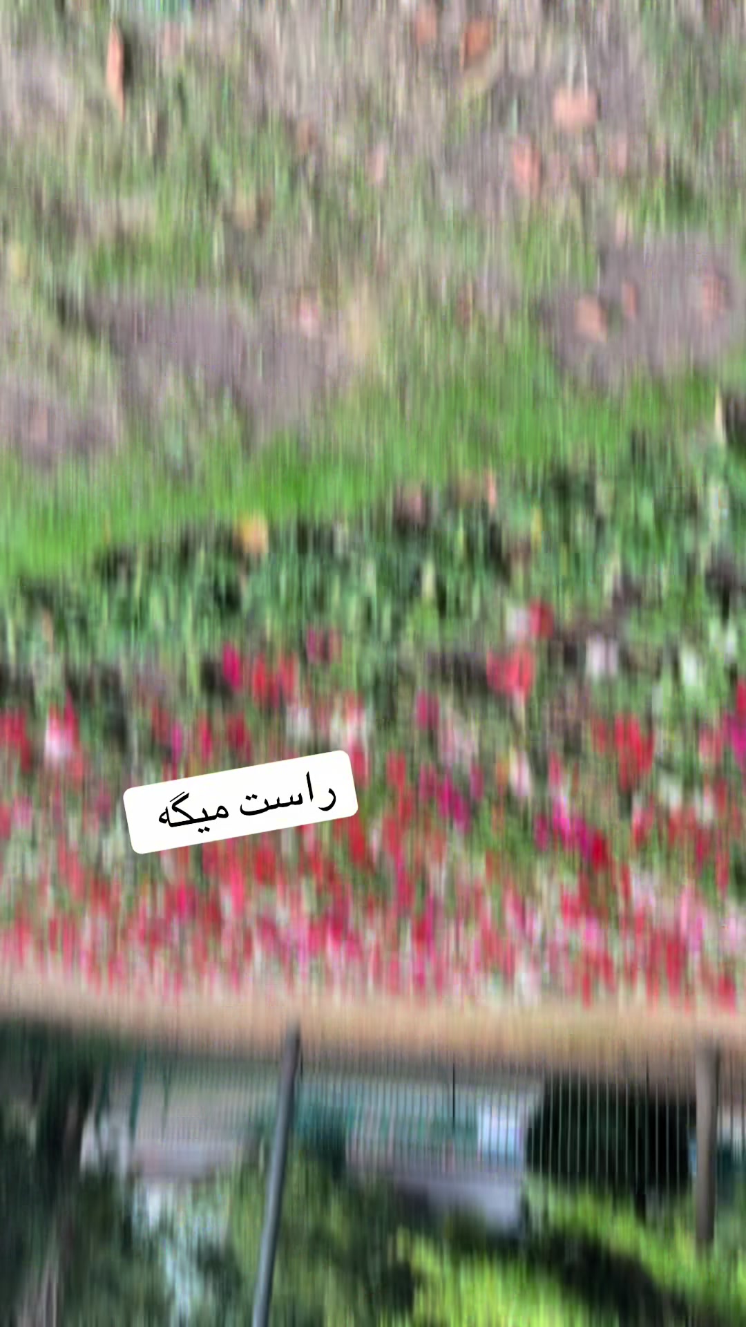 @✨✨✨ستاره سادات ✨✨✨