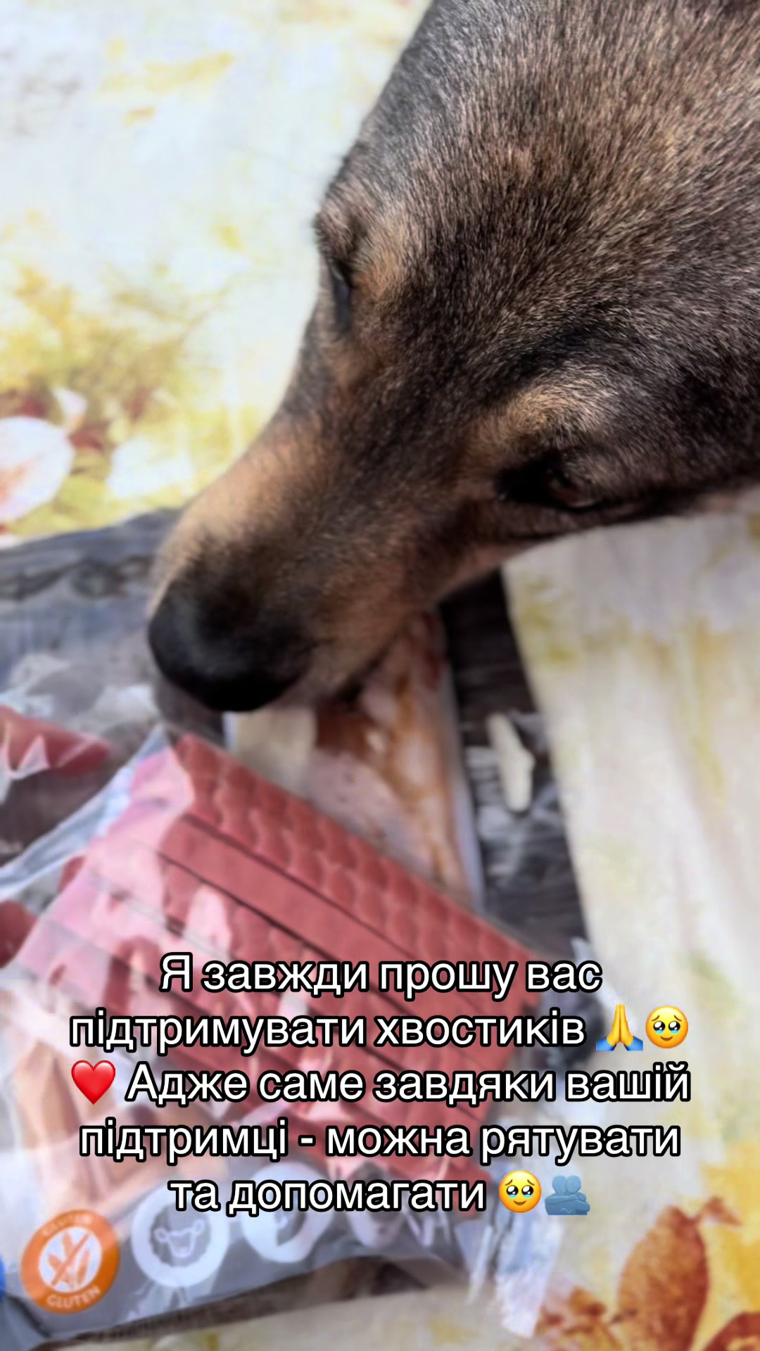 @tanya.help.animal