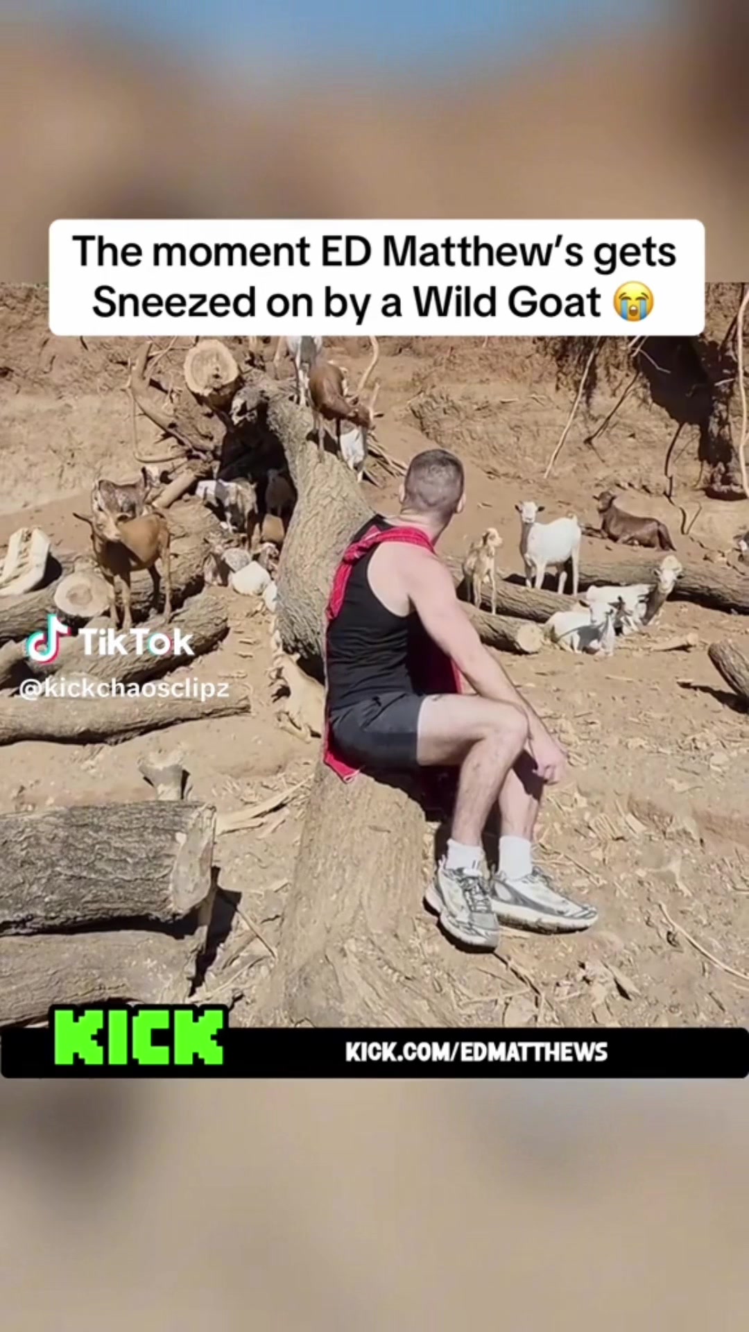 @Official_Gaz_