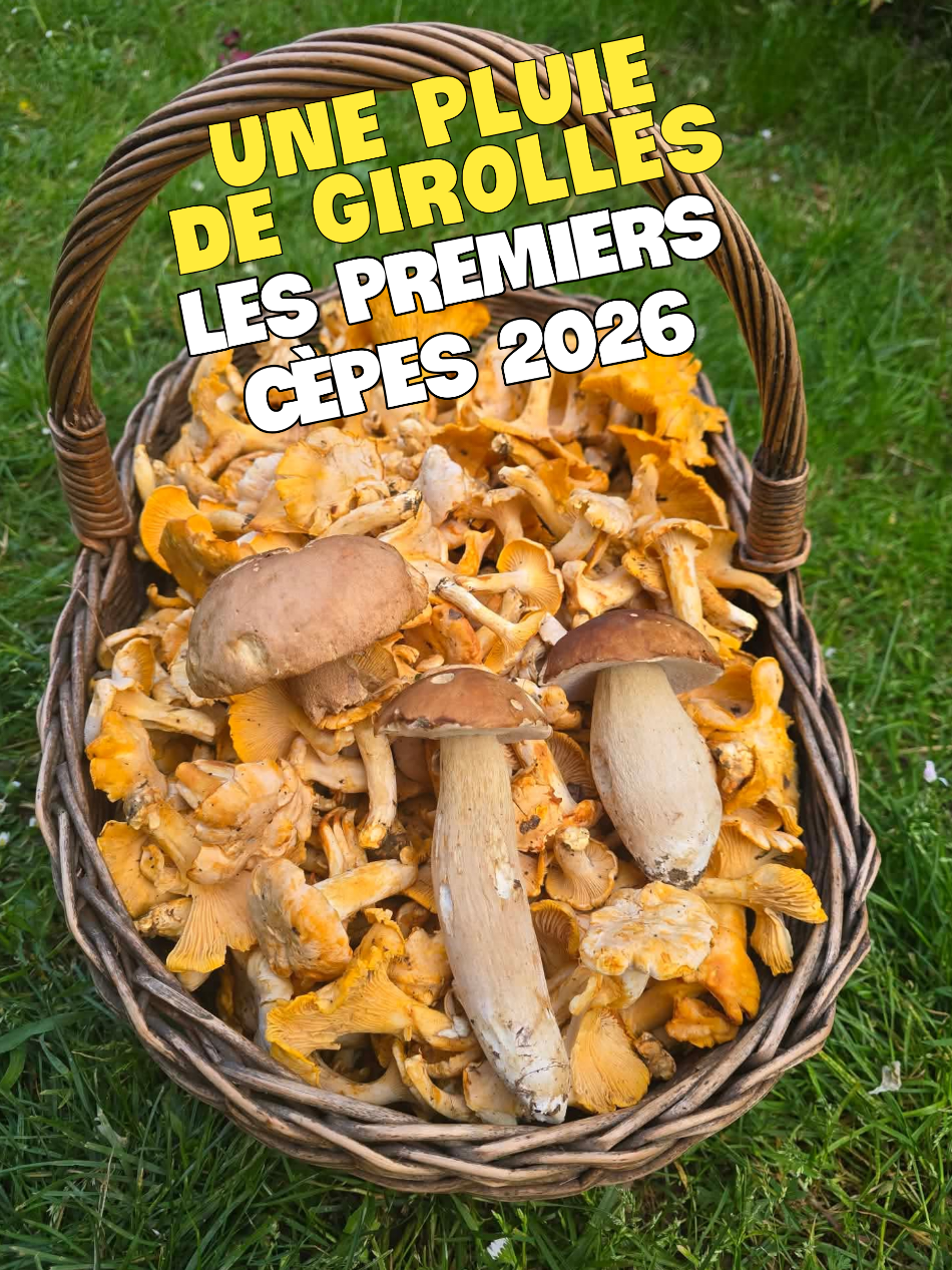 @Dan 🍄&zwj;🟫 Le Champologue