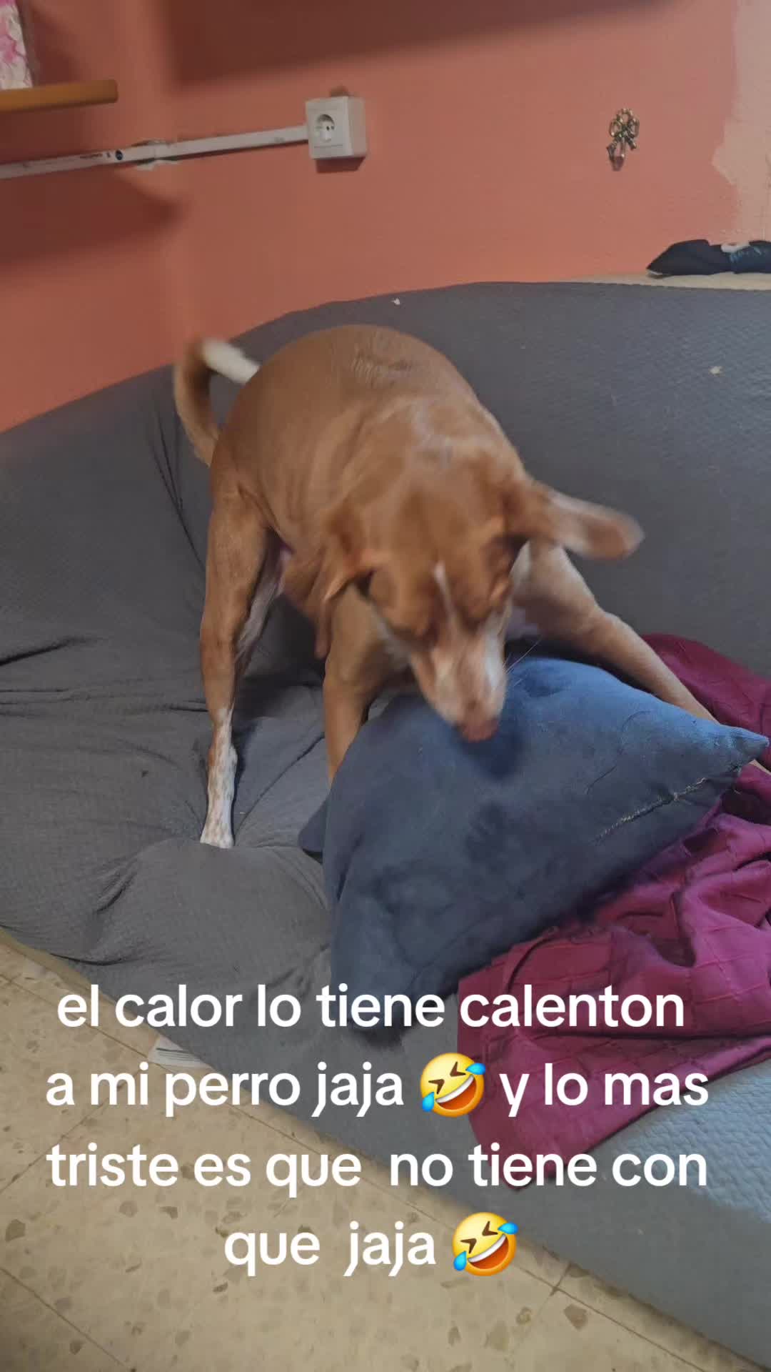 @señor misterio