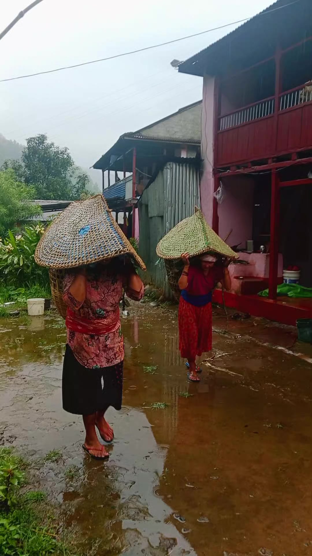 @Krishna Adhikari