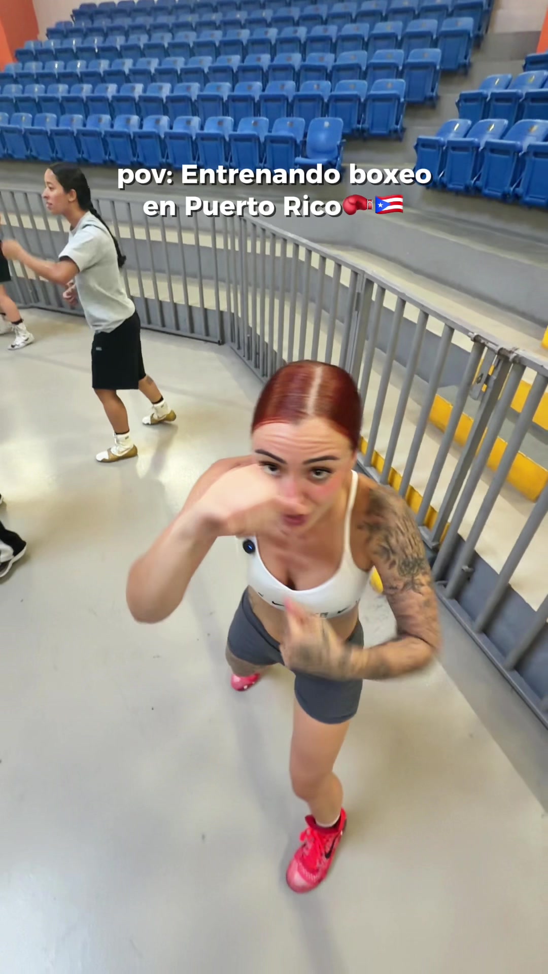 @arigeli