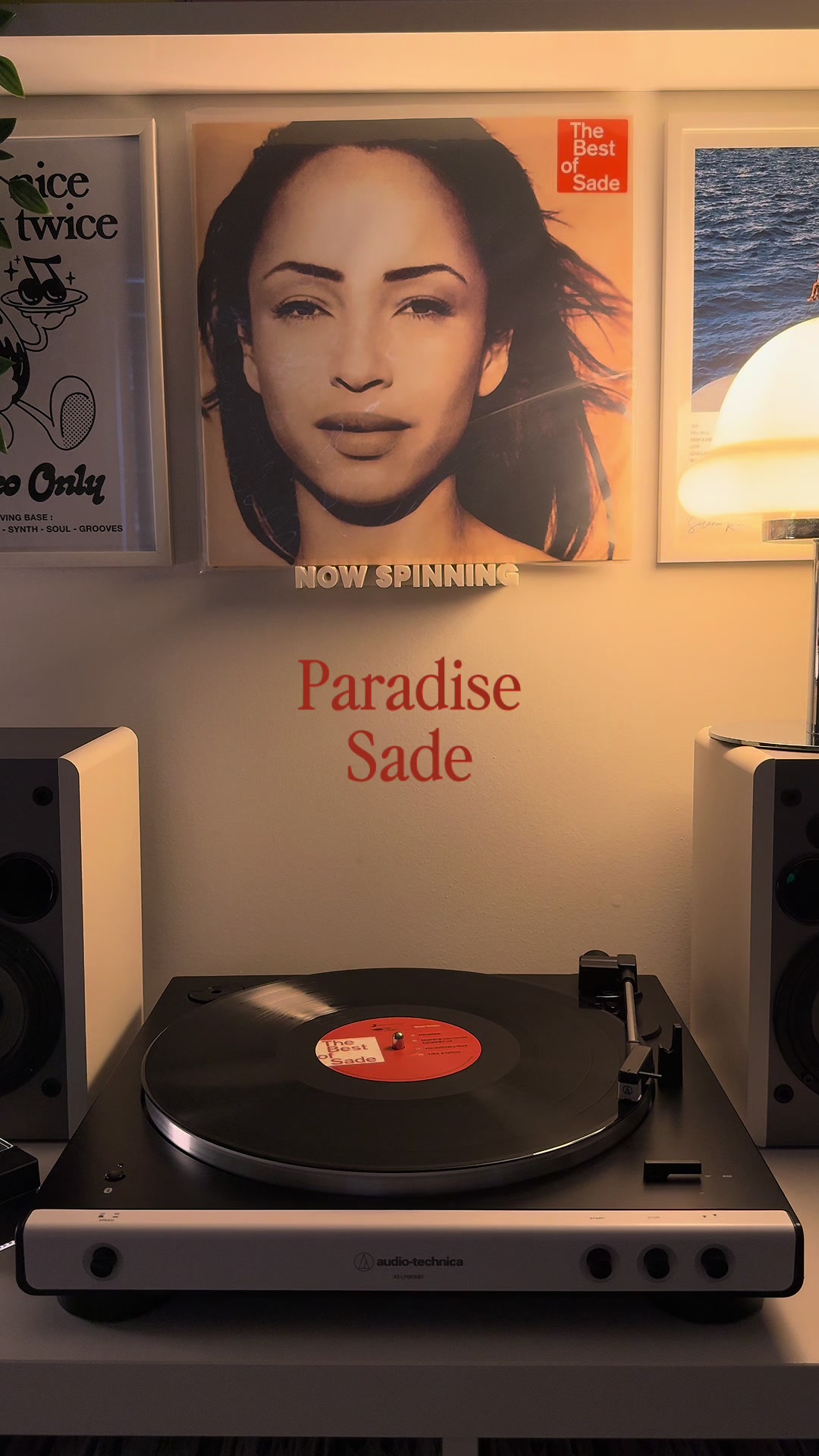 @Ryan&rsquo;s Records🎵🔊