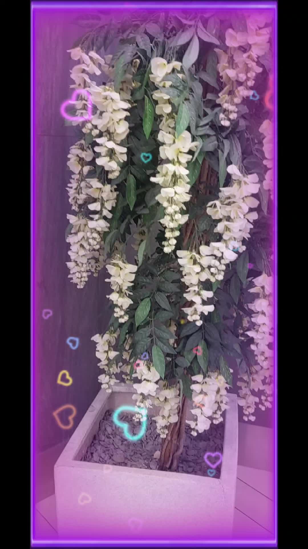@amaan1949