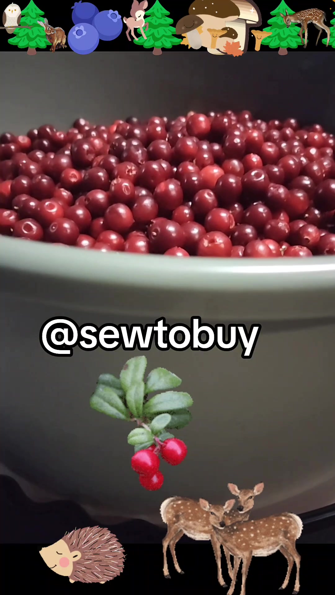 @SewToBuy
