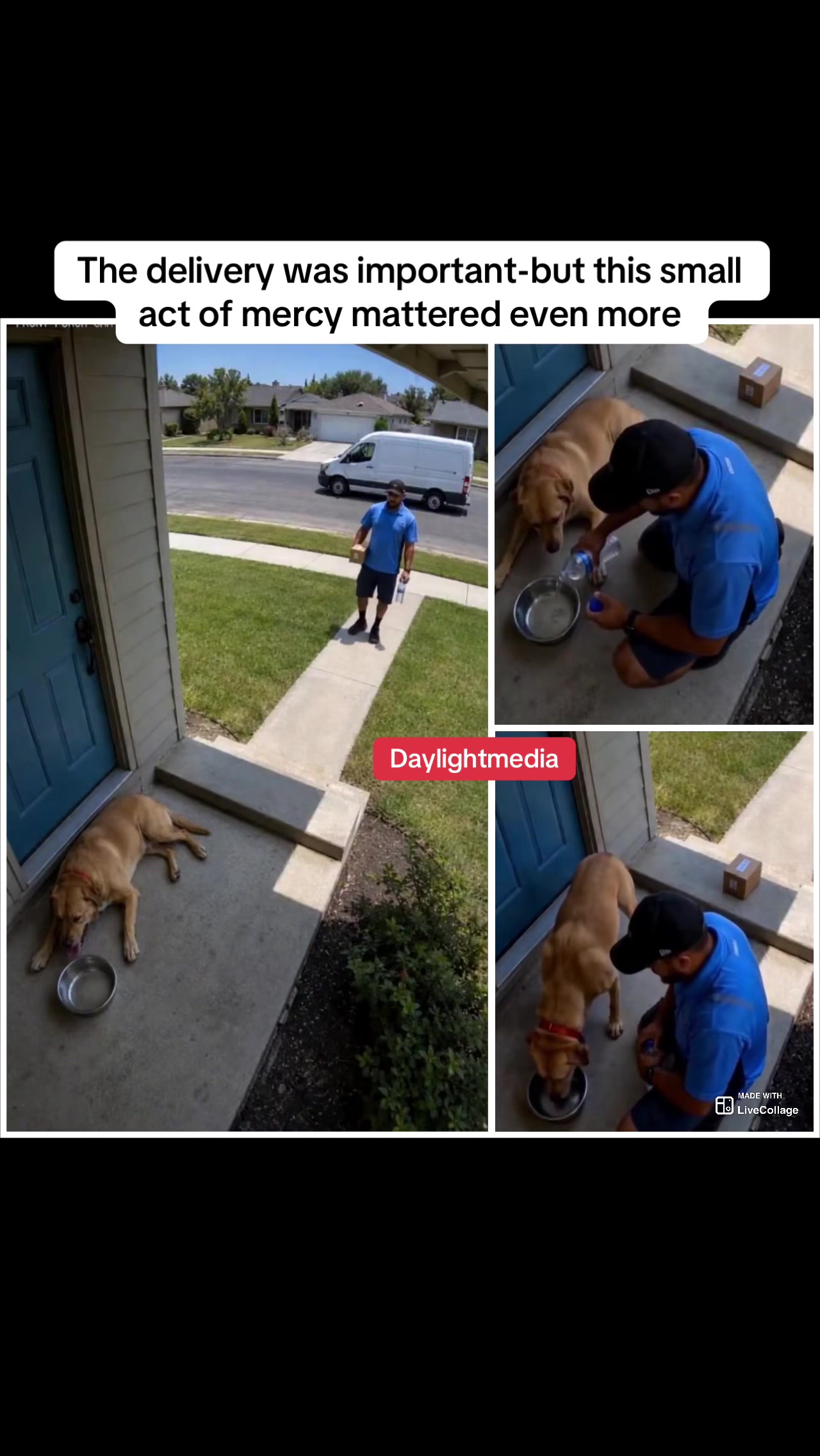 @Daylightmedia