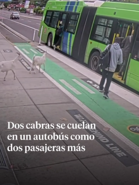 @La Vanguardia 🗞
