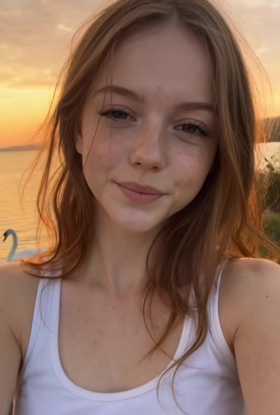 @liaangster