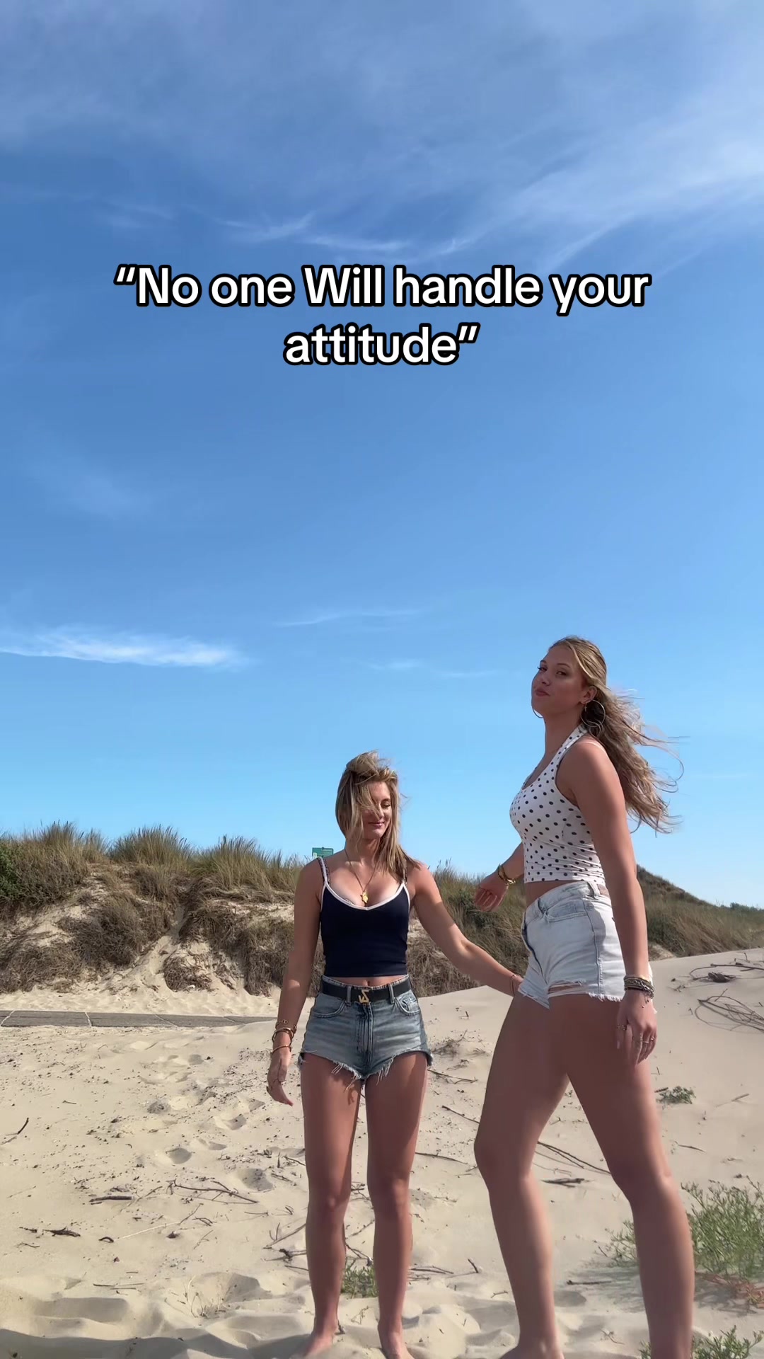 @aardappelschijfjes1