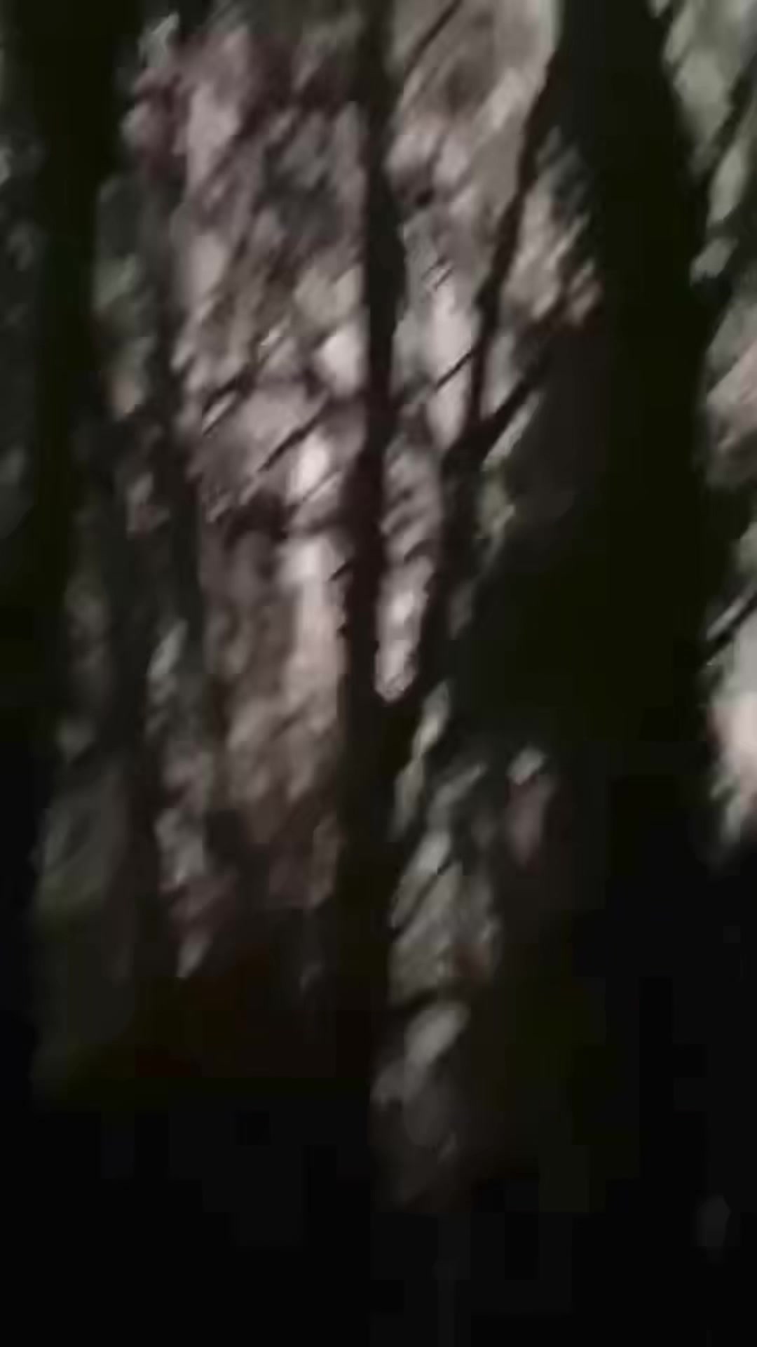 @ㅤㅤㅤㅤㅤㅤㅤ