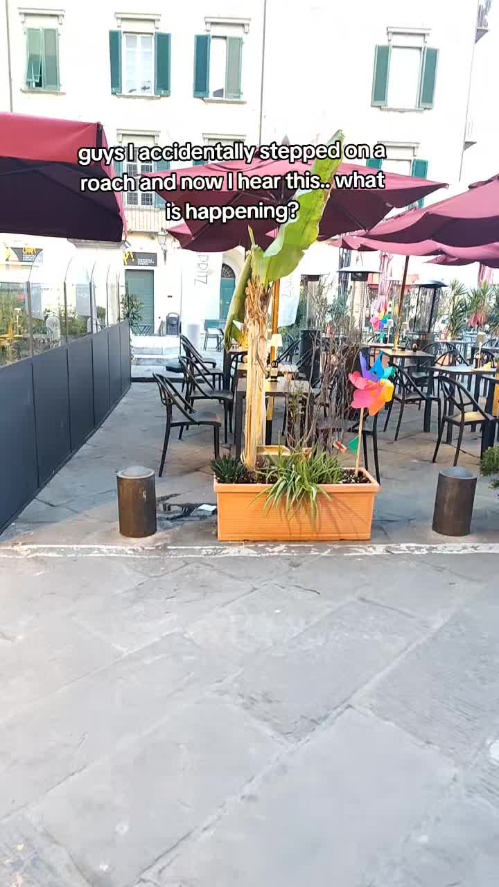@sastok