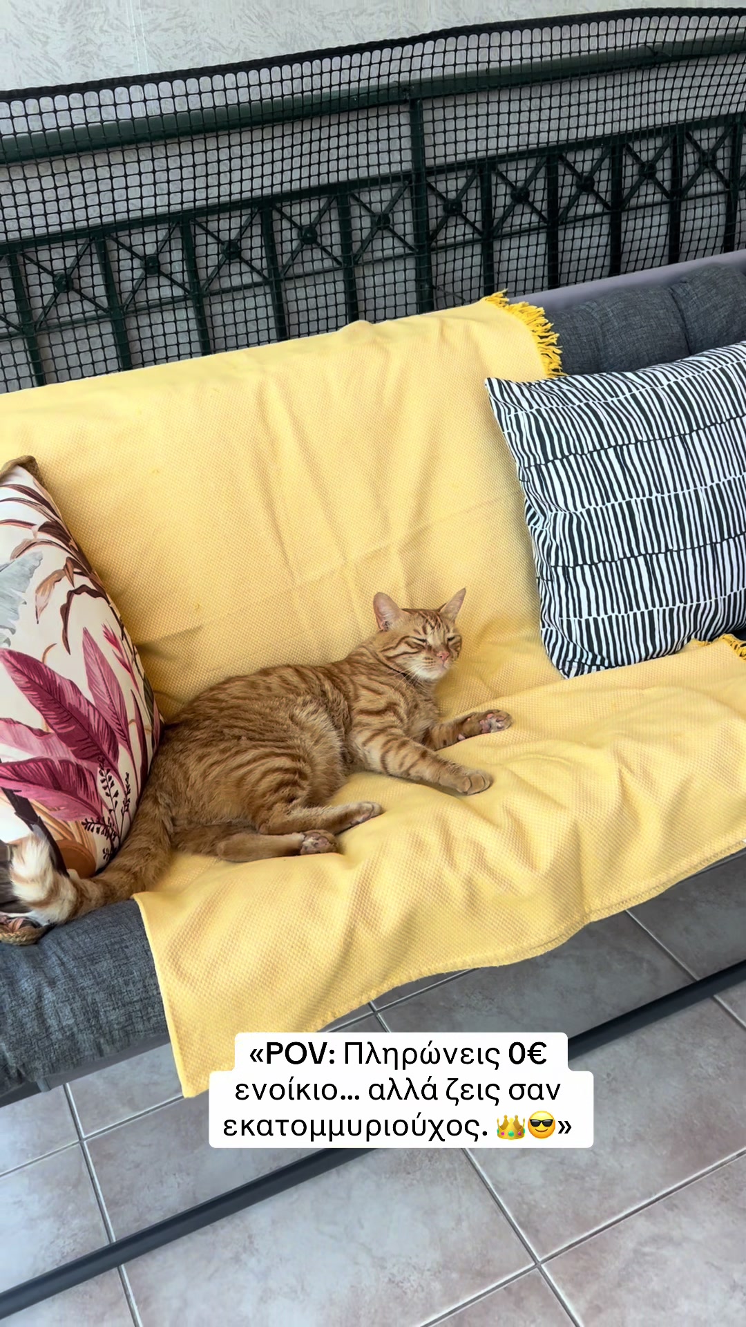 @Φανούρης ❤️🐈