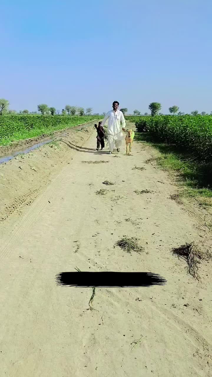 @sabir Hussain Zardari 110