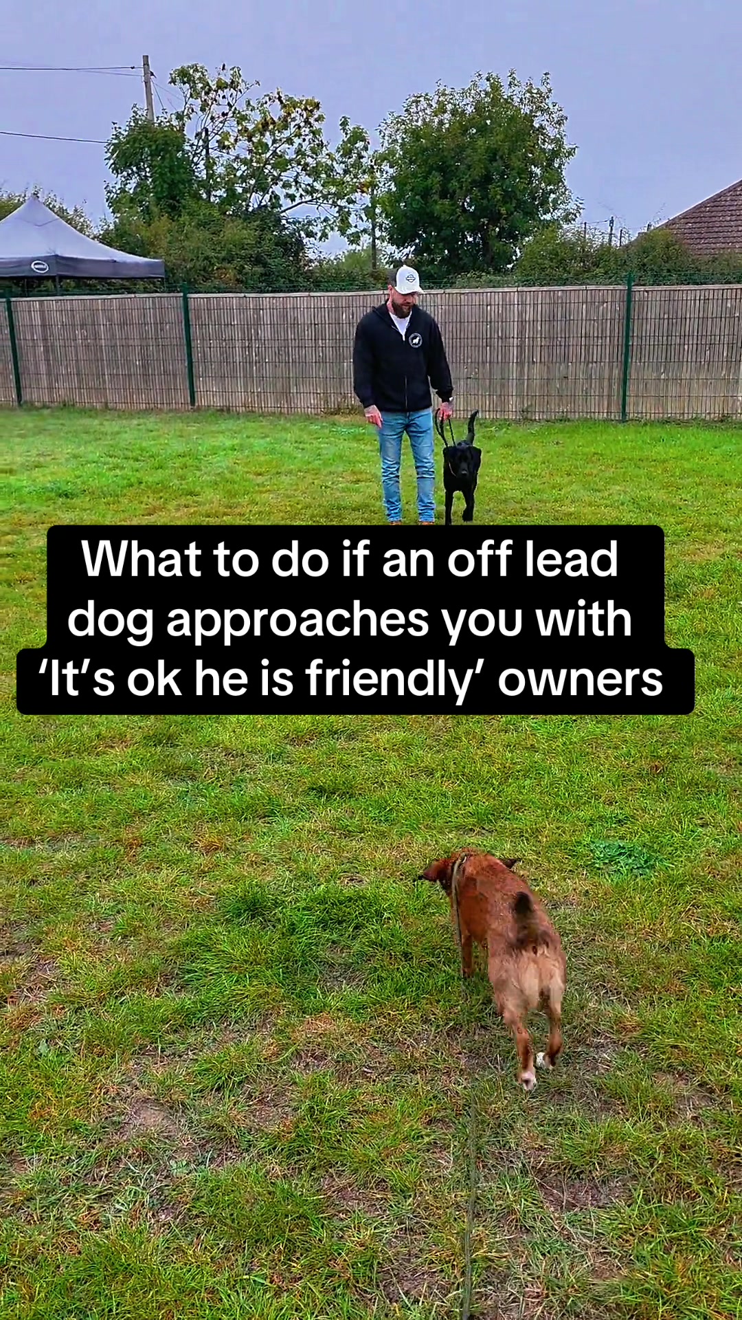@SouthendDogTraining