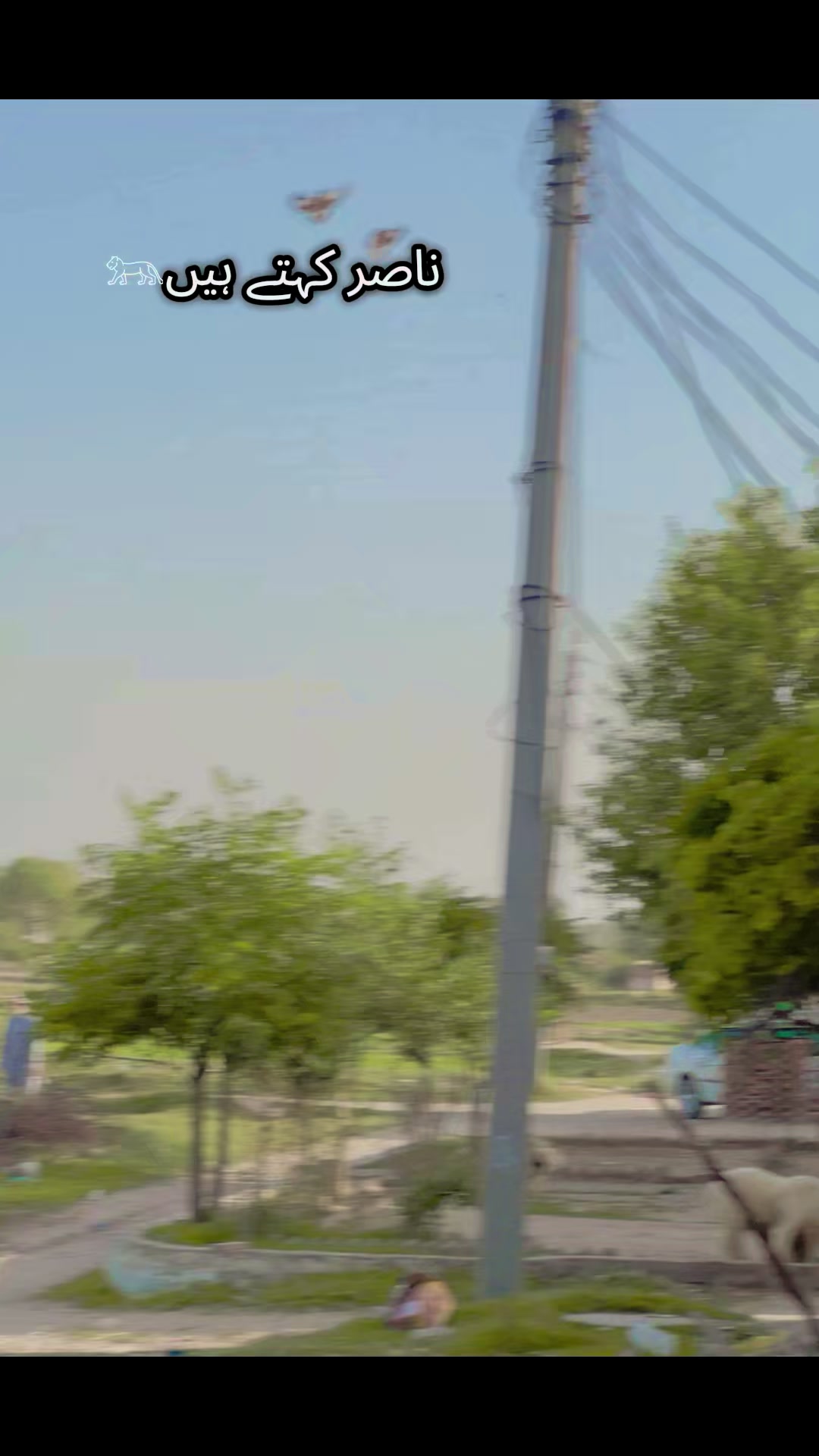 @𓄂ناصر کہتے ہیں𓃬