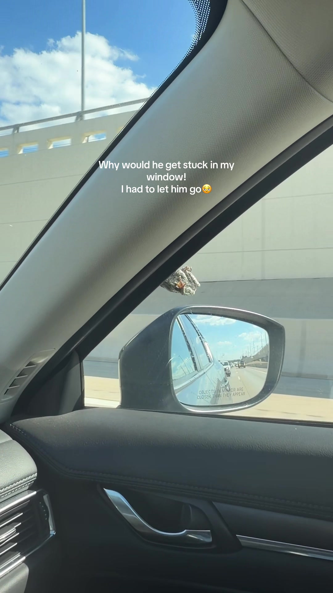 @Kontent x Karley