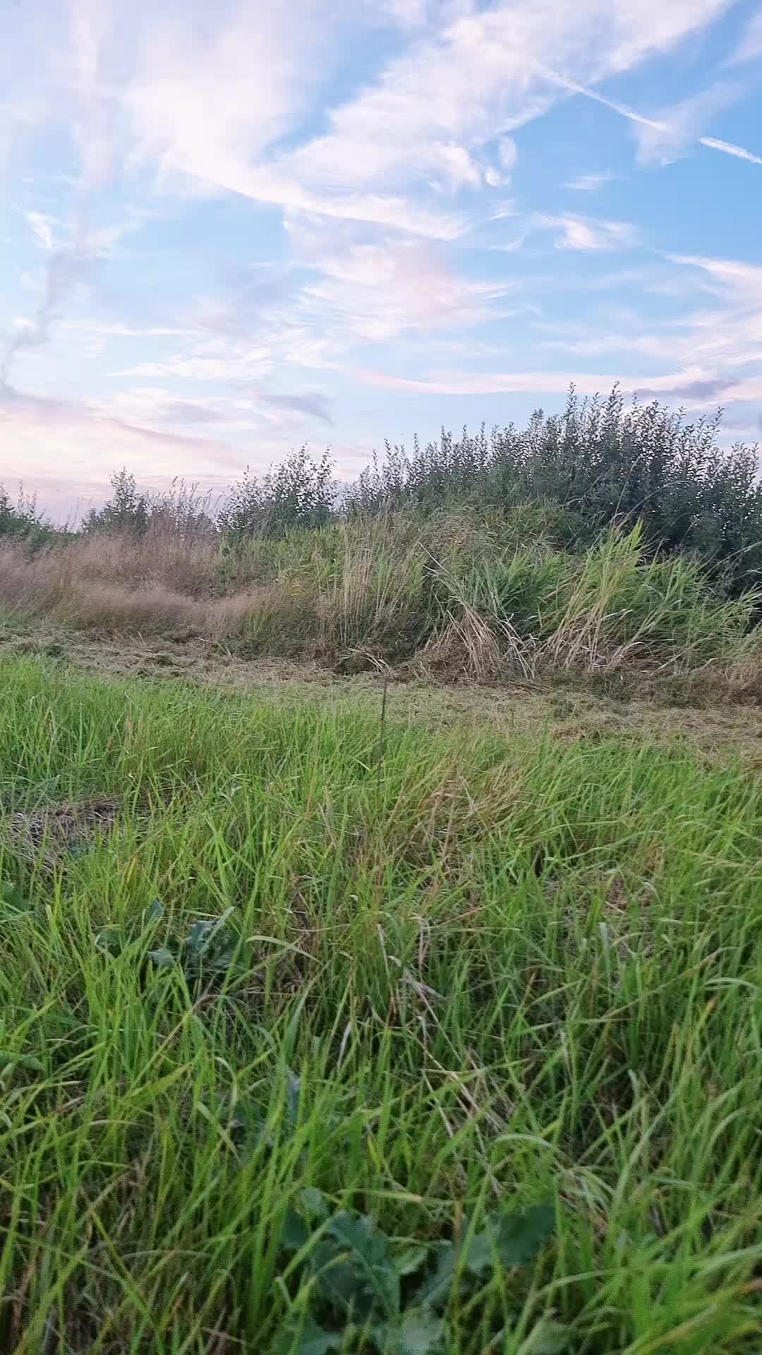 @Lantbruk är livet🚜🤠🌾