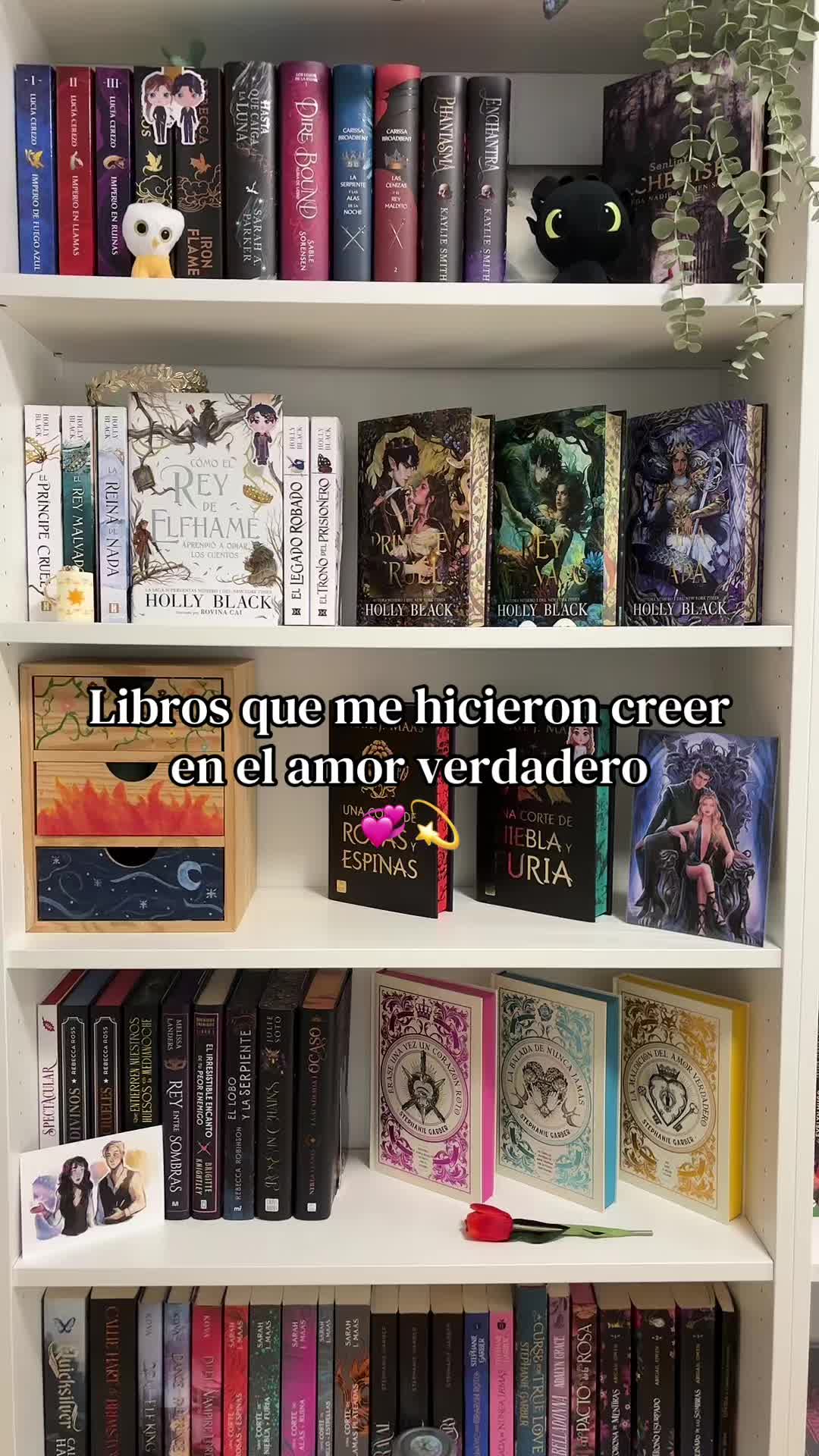 @Thedarkmoonbooks🌙✨