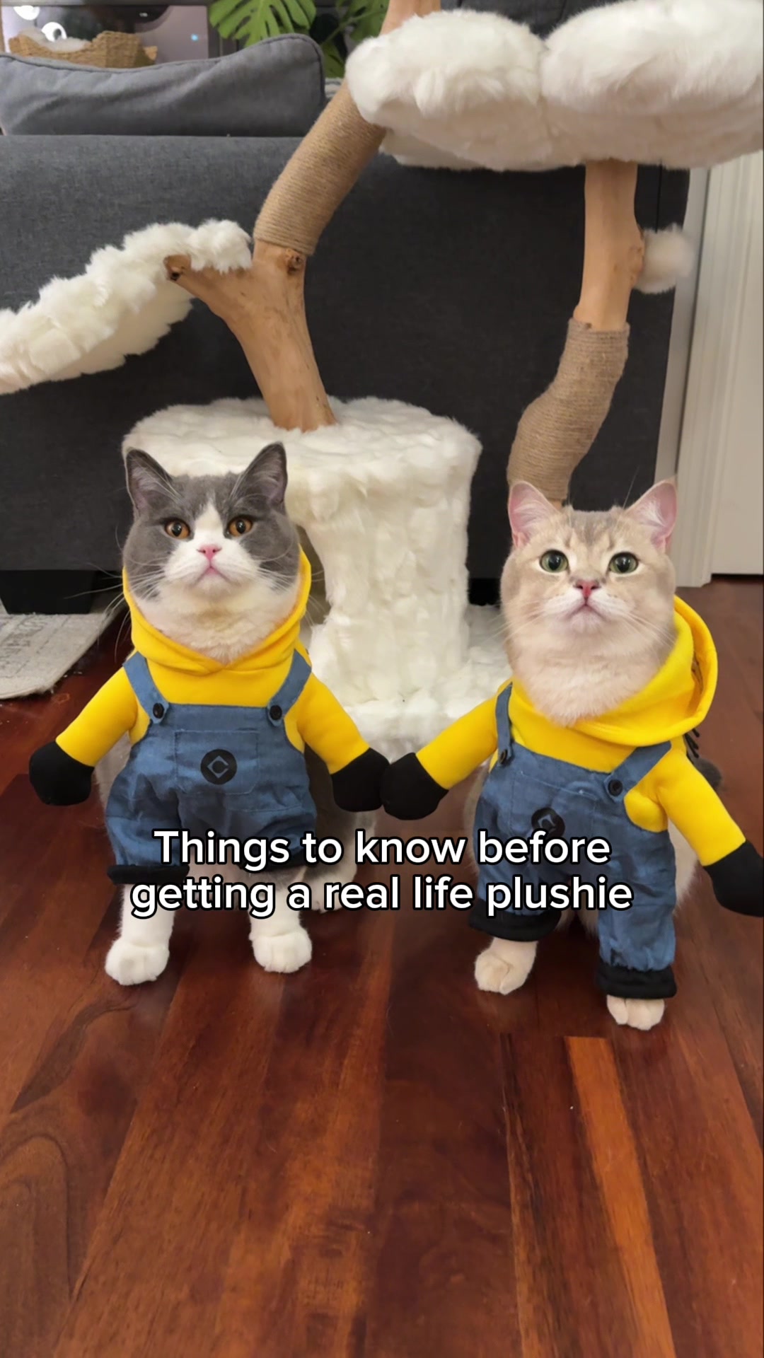 @Prince Louie 🦁 & Todd 🐼