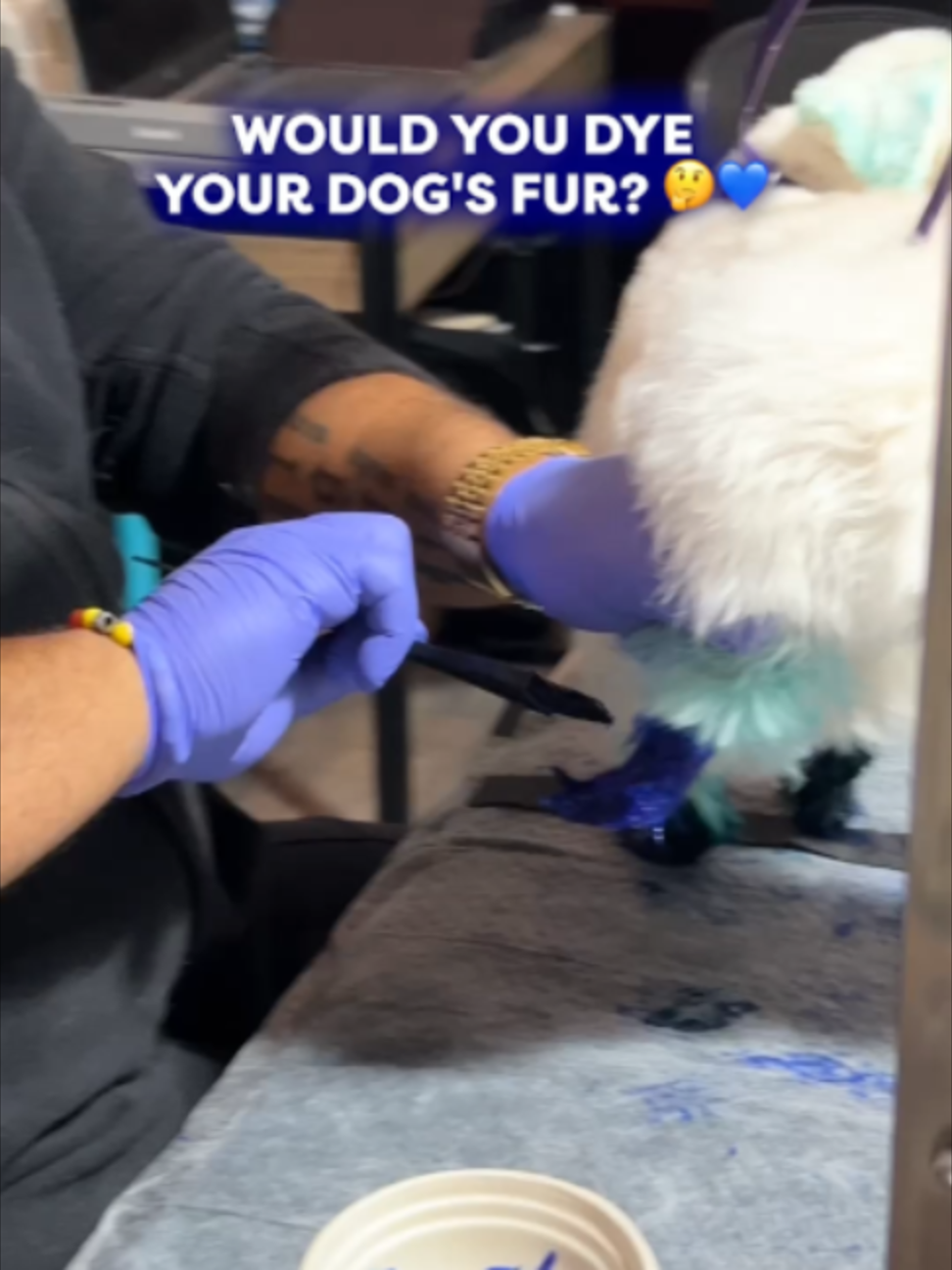 @Go Fetch