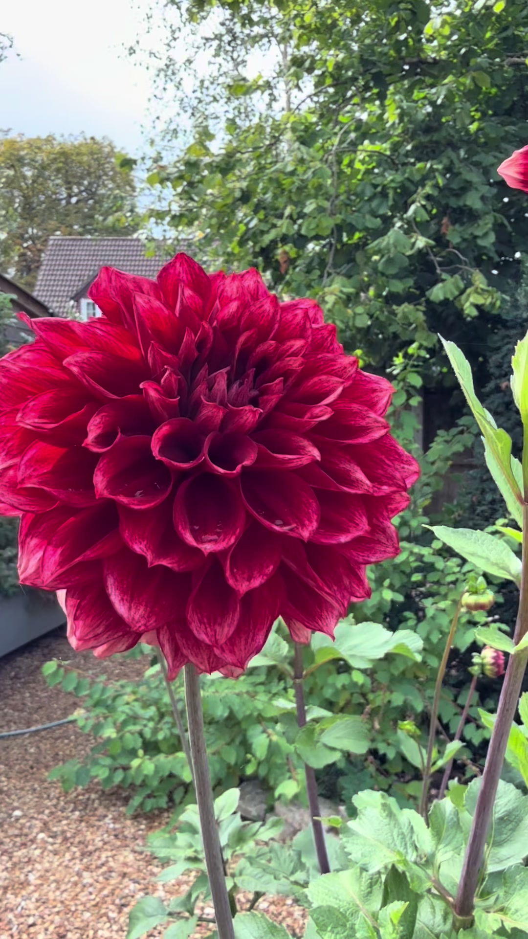 @#gardenerben