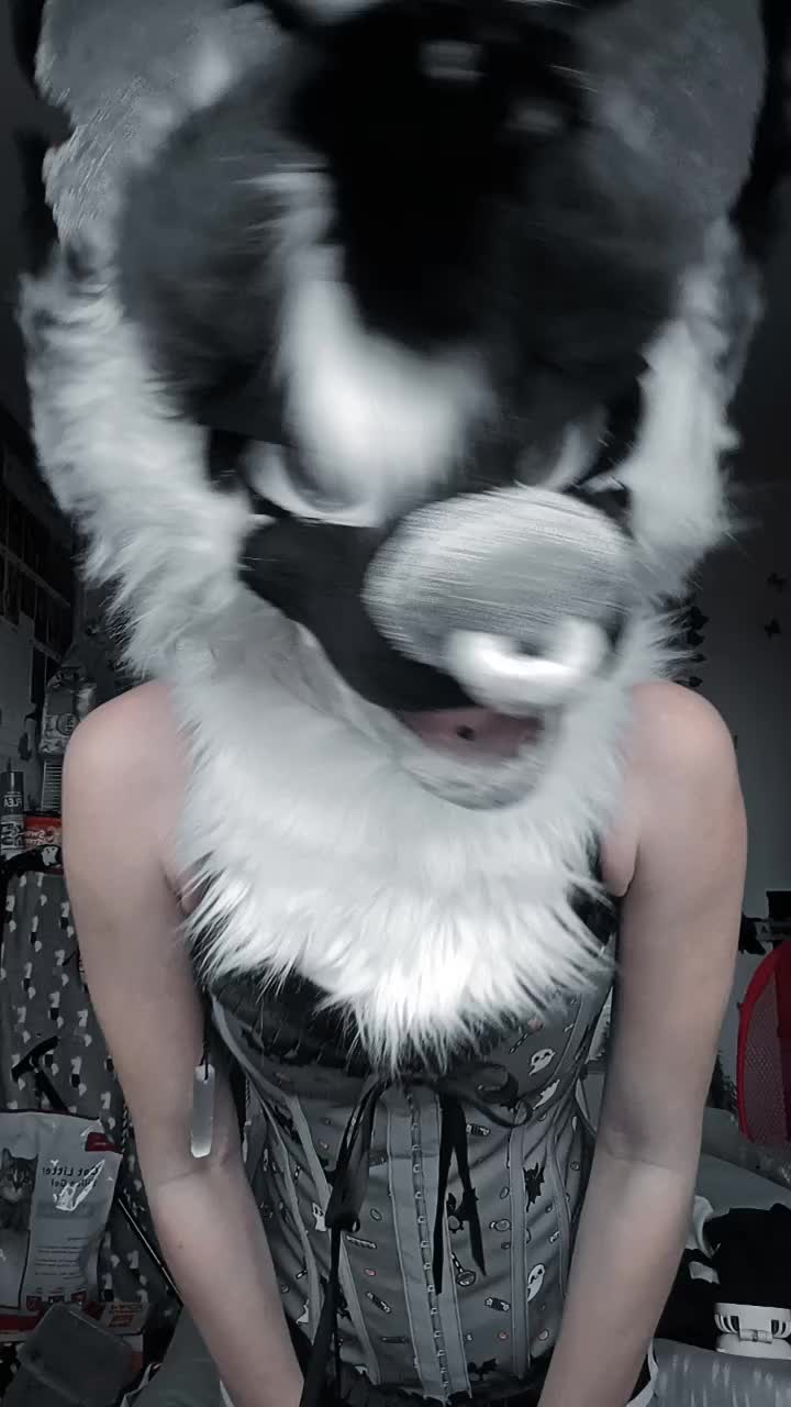@~•°VixyPixy°•~