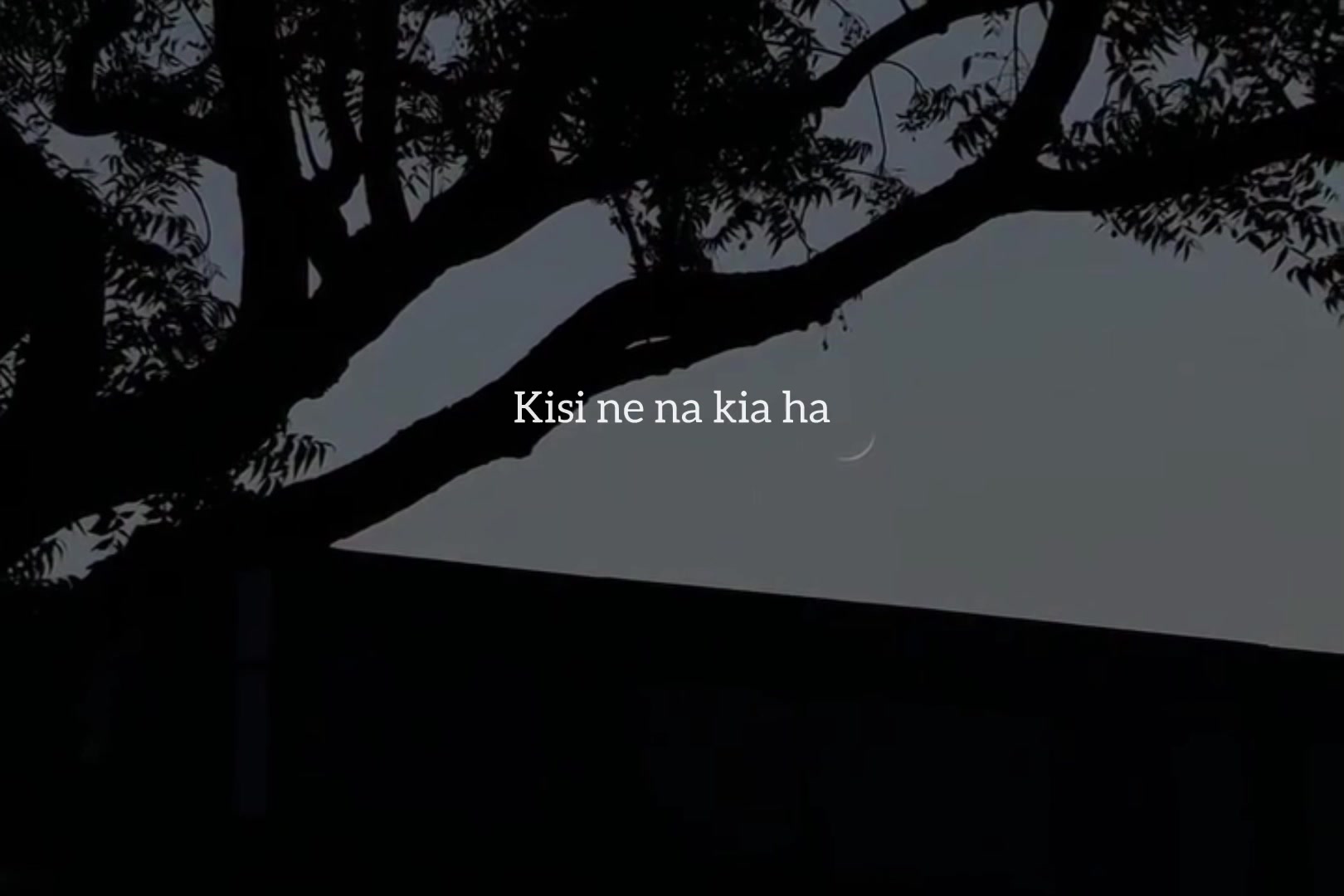 @احمد ؟