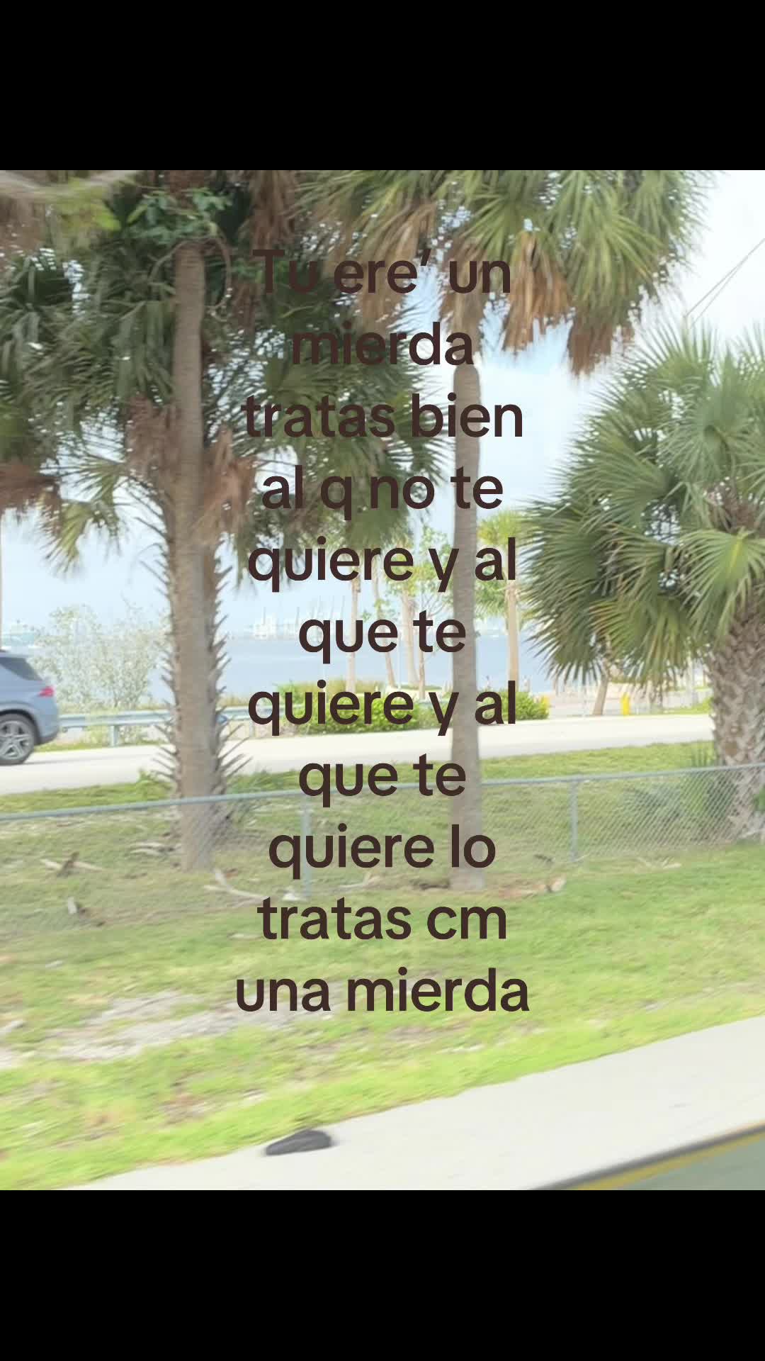 @maya🇨🇺
