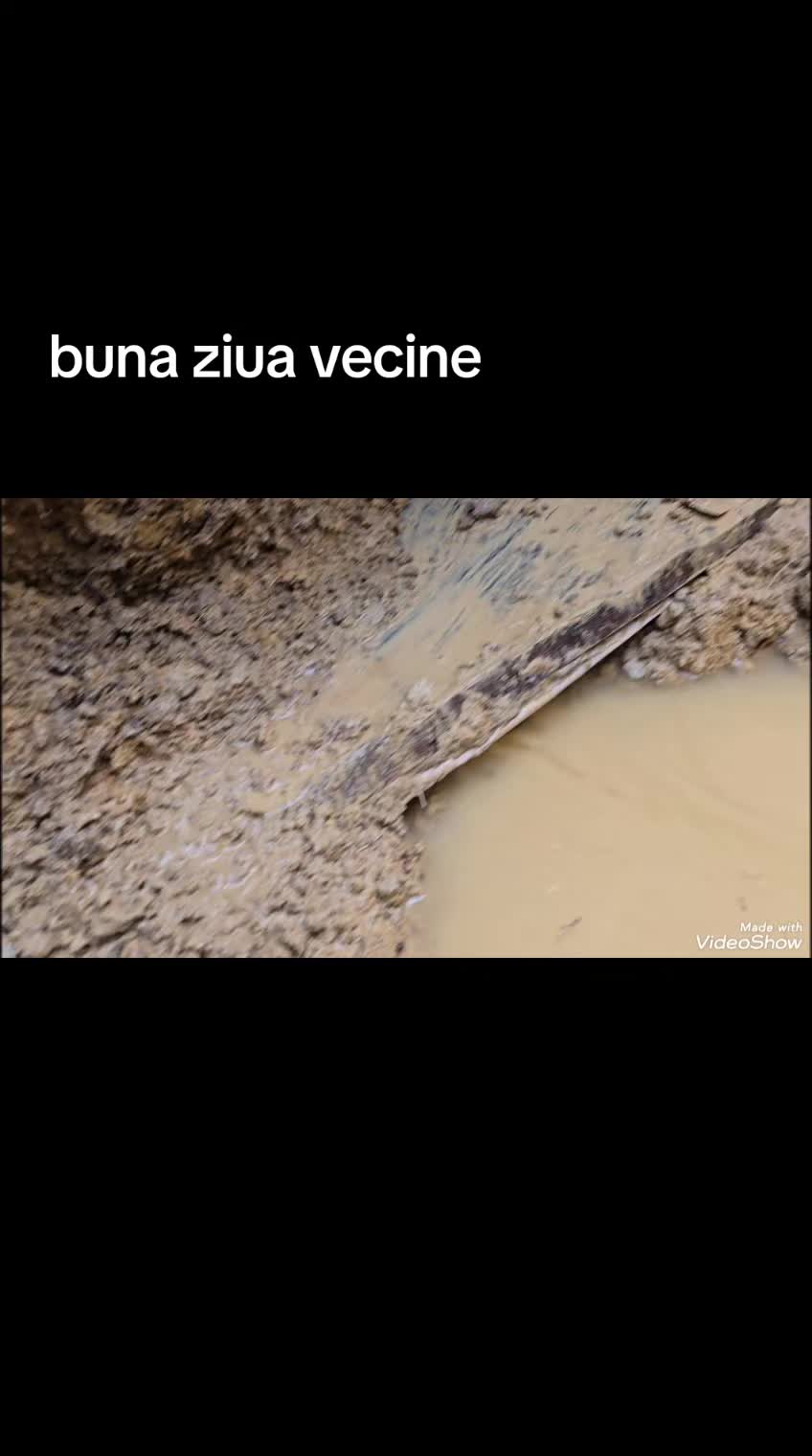@Ionut Faur