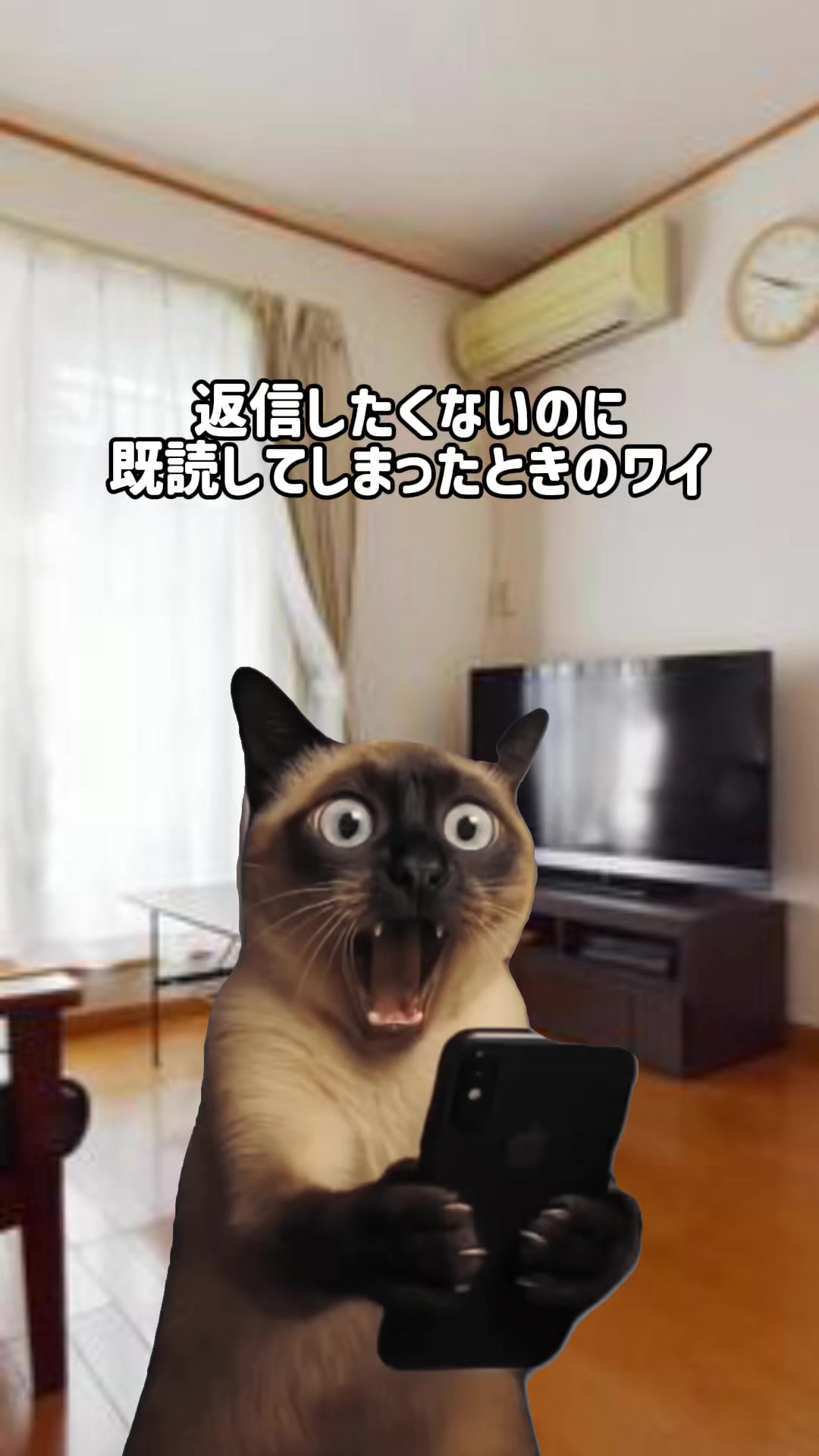 @面白ミーム