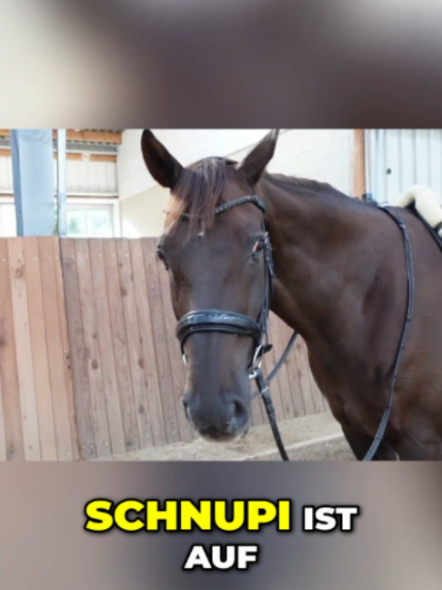 @Matthes Röckener