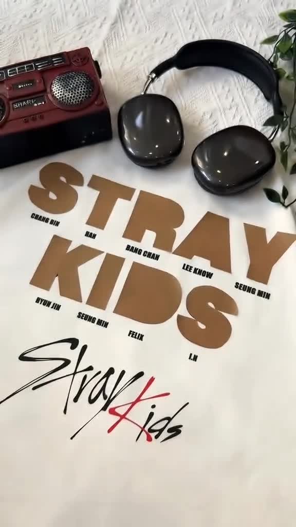 @Straykids Fan