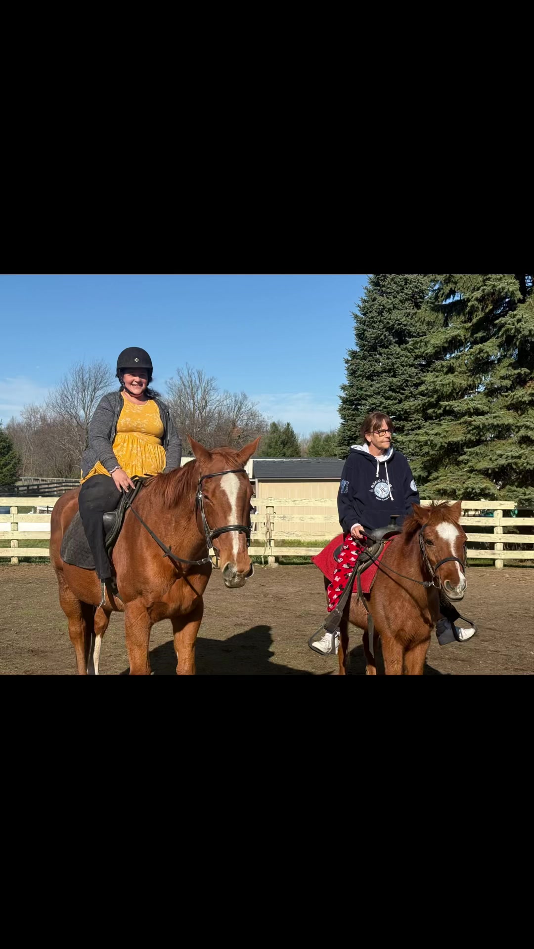 @Auntie Tannas Funny Farm