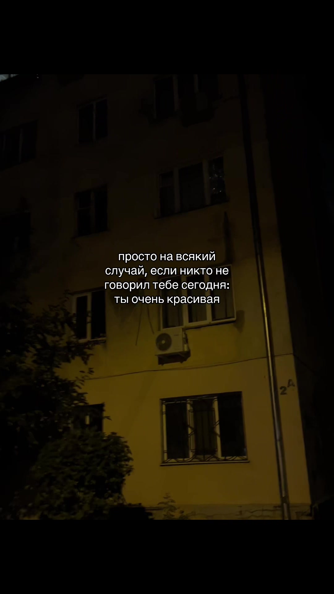 @мур мур 🐾