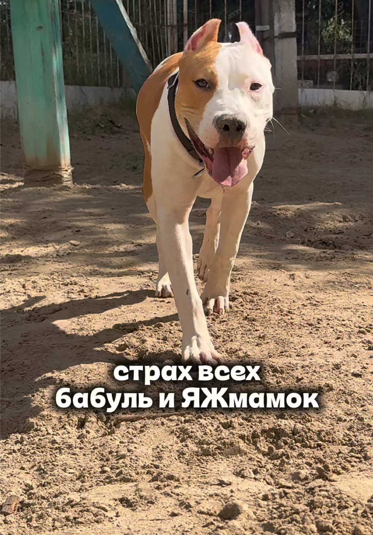 @ТГК- АСТ ГУФ