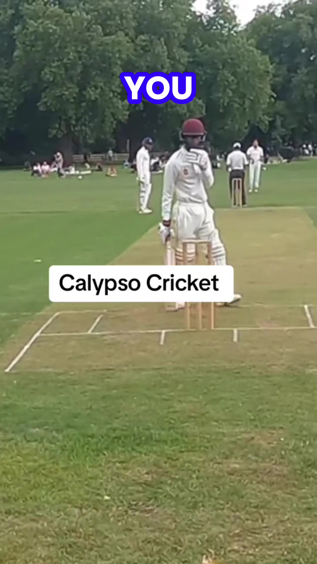 @MySide of Cricket