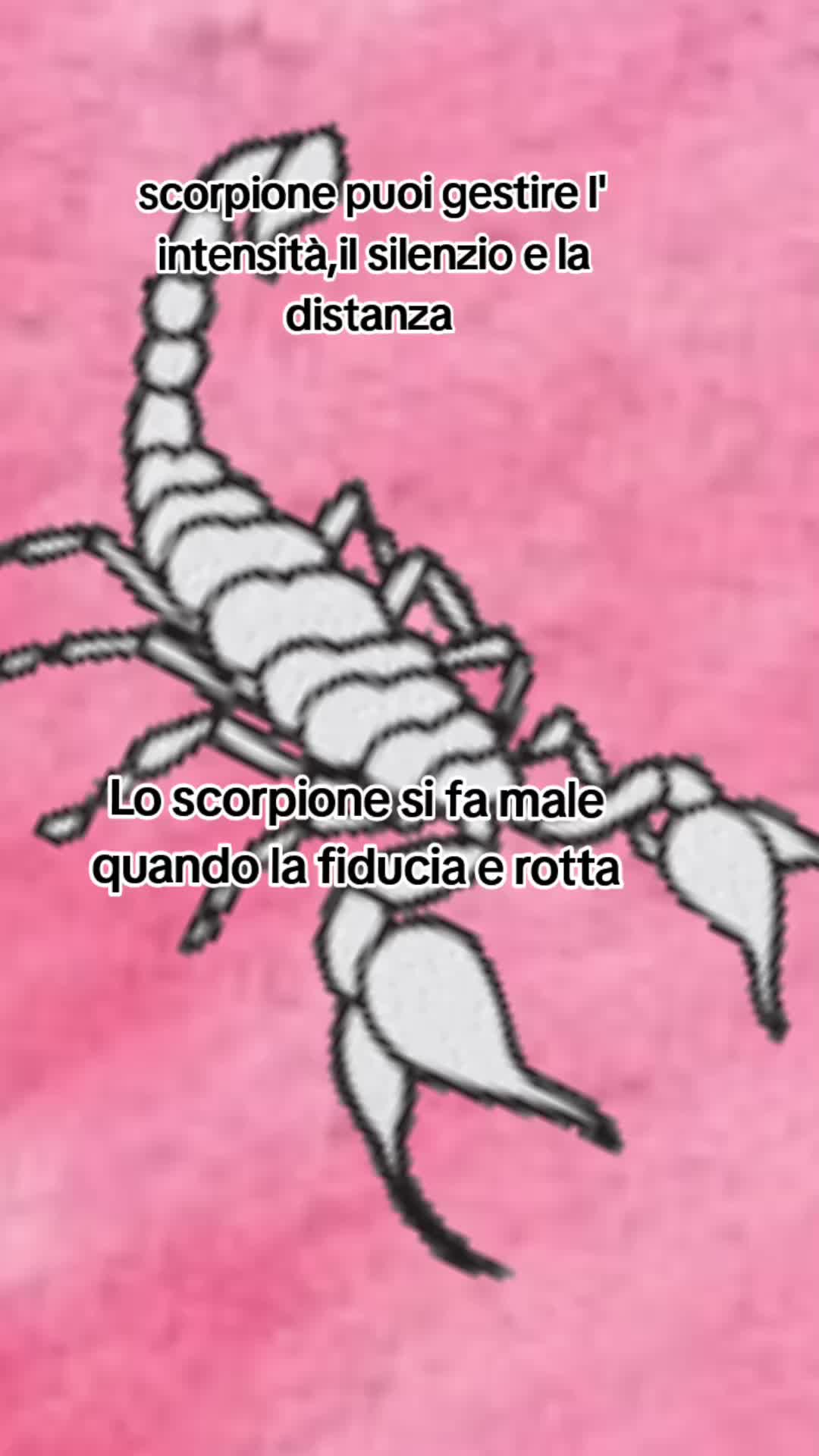 @Vita Maria