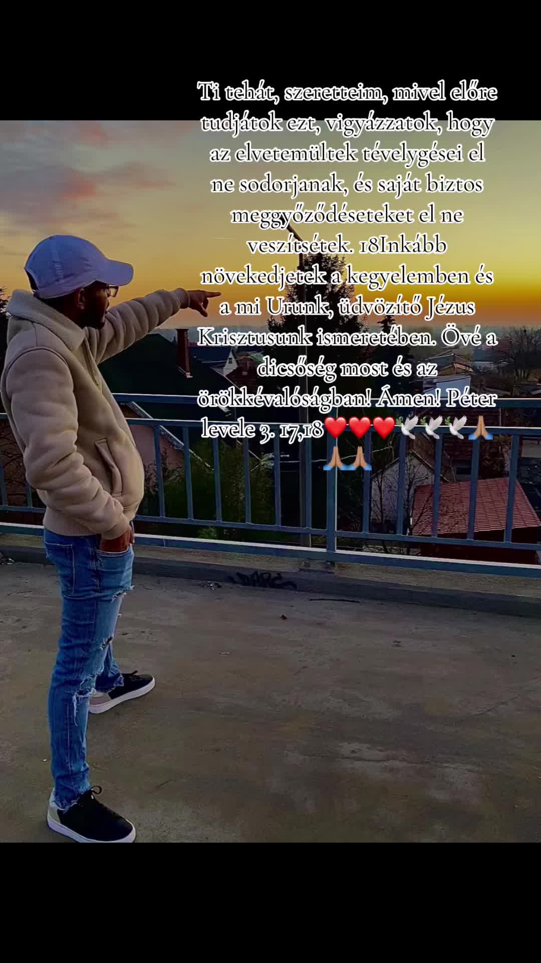 @Dinnooka🦖🌿