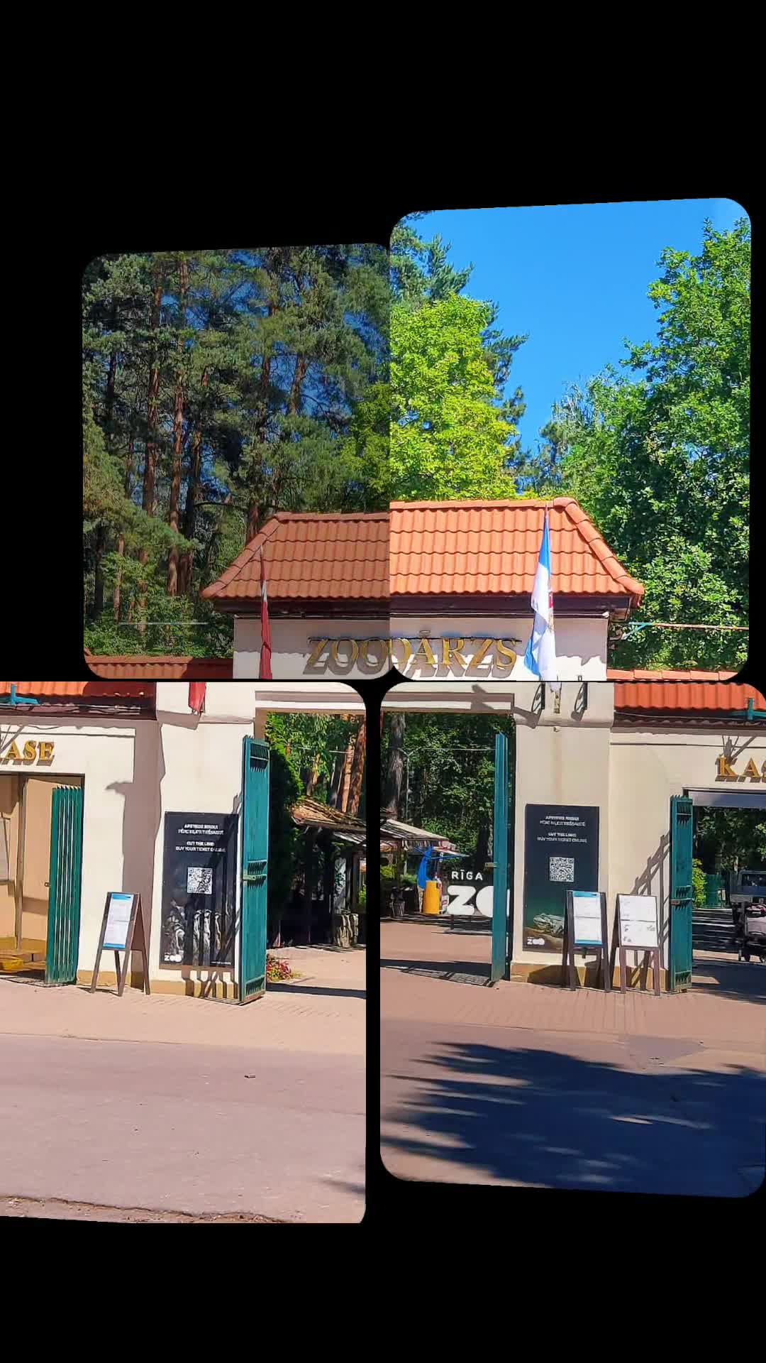 @Laura 🇫🇮